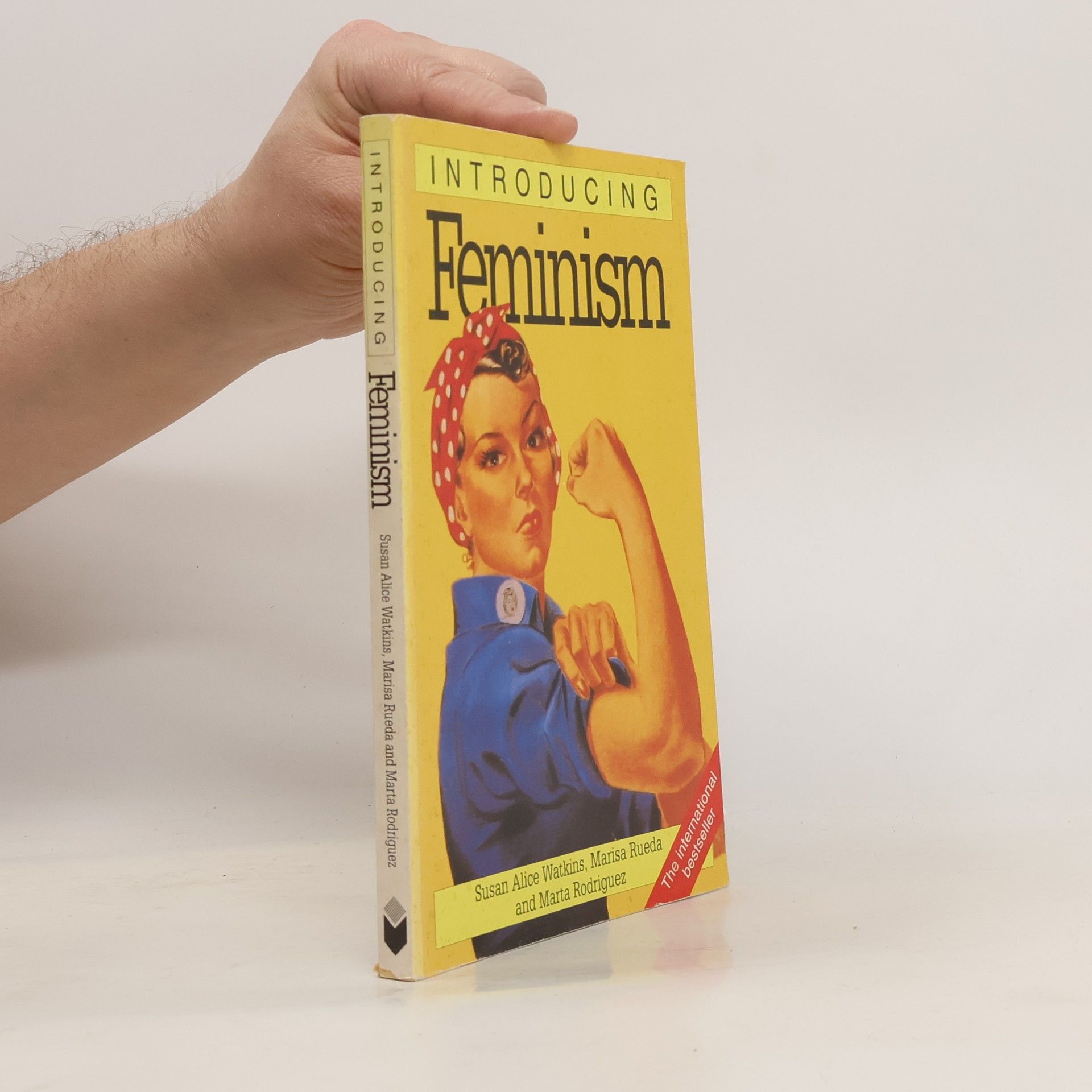Susan Alice Watkins Introducing Feminism