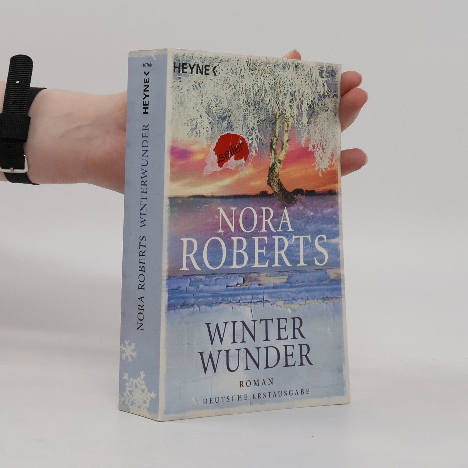 Nora Roberts Winter wunder