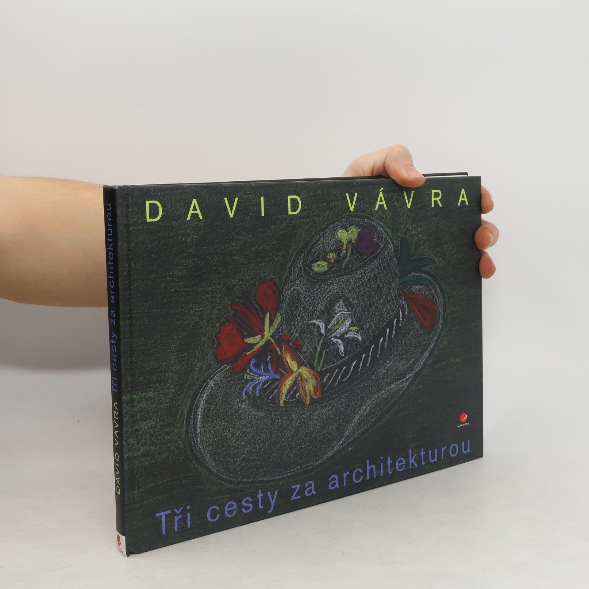 David Vávra Tři cesty za architekturou
