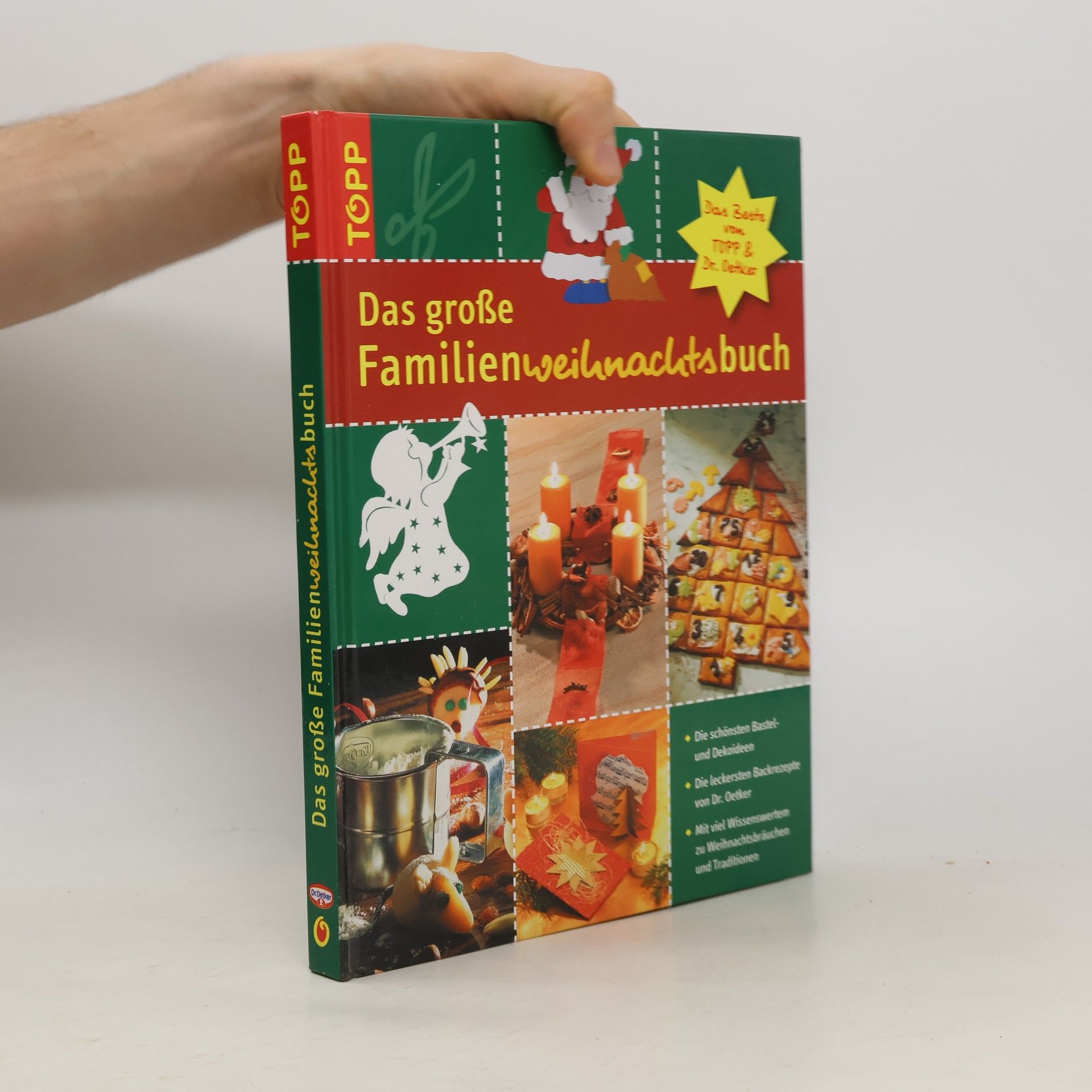 Collectif d'auteurs Das große Familienweihnachtsbuch