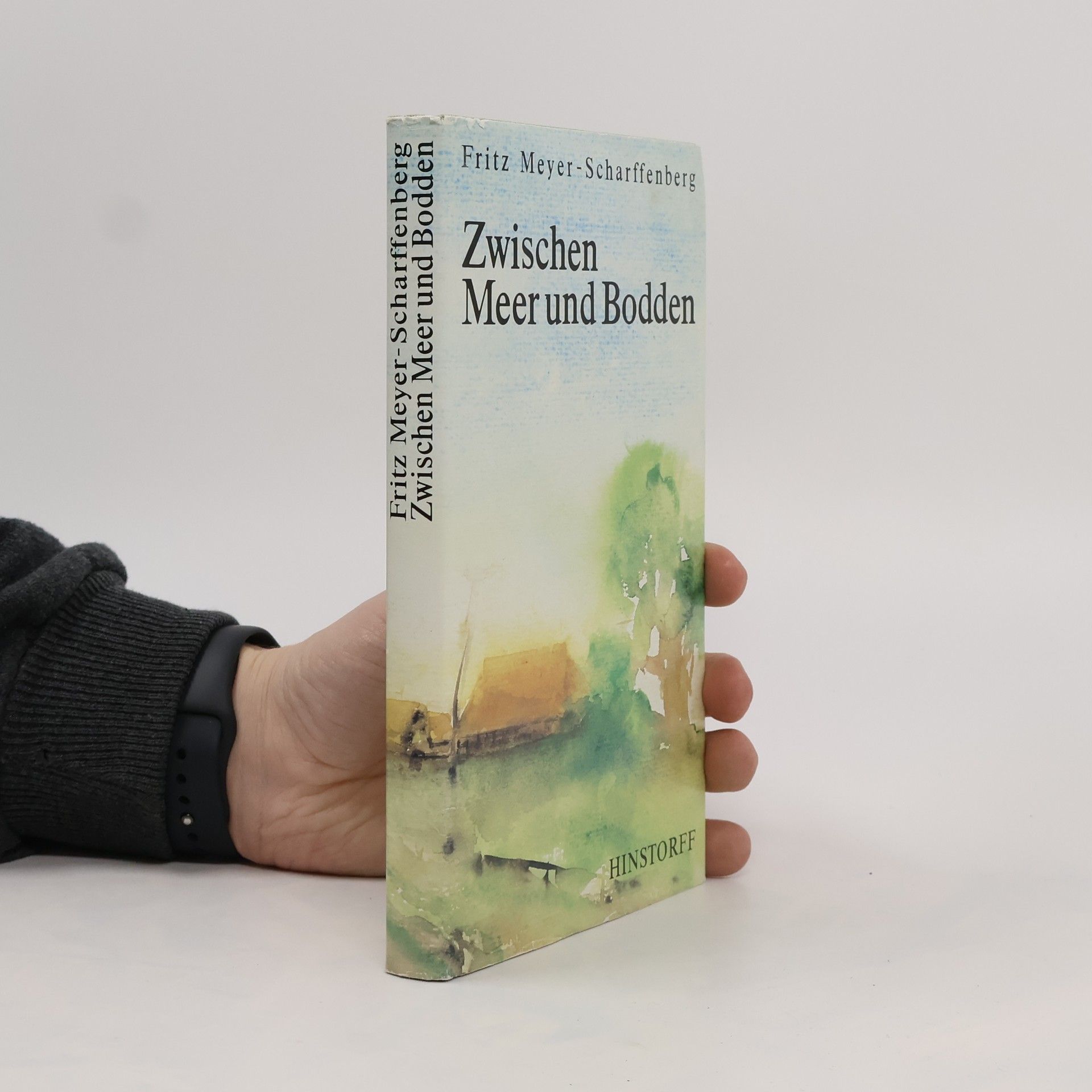 Friedrich Meyer Zwischen Meer und Bodden