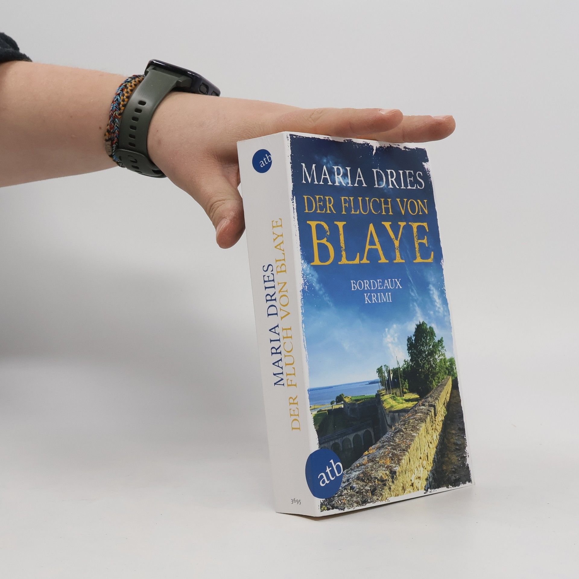 Maria Dries Der Fluch von Blaye