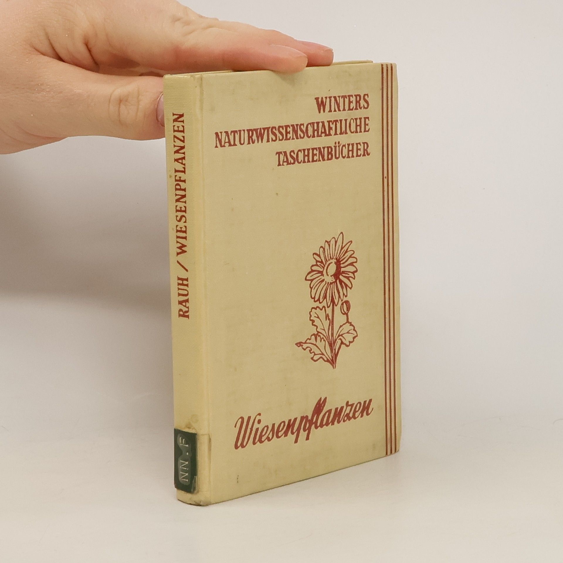 Werner Rauh Unsere Wiesenpflanzen