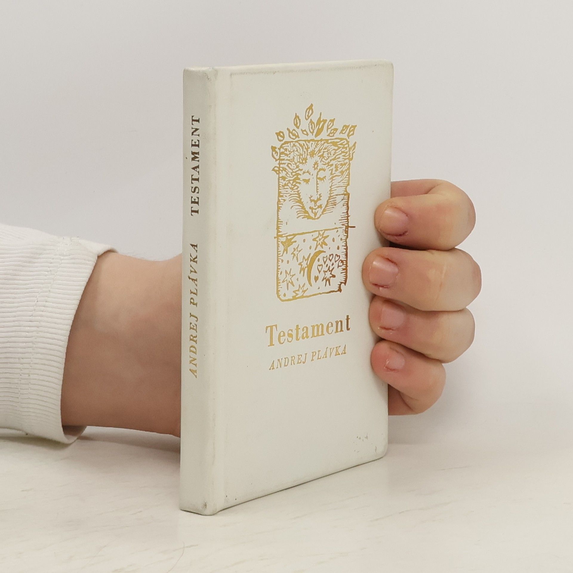 Andrej Plávka Testament