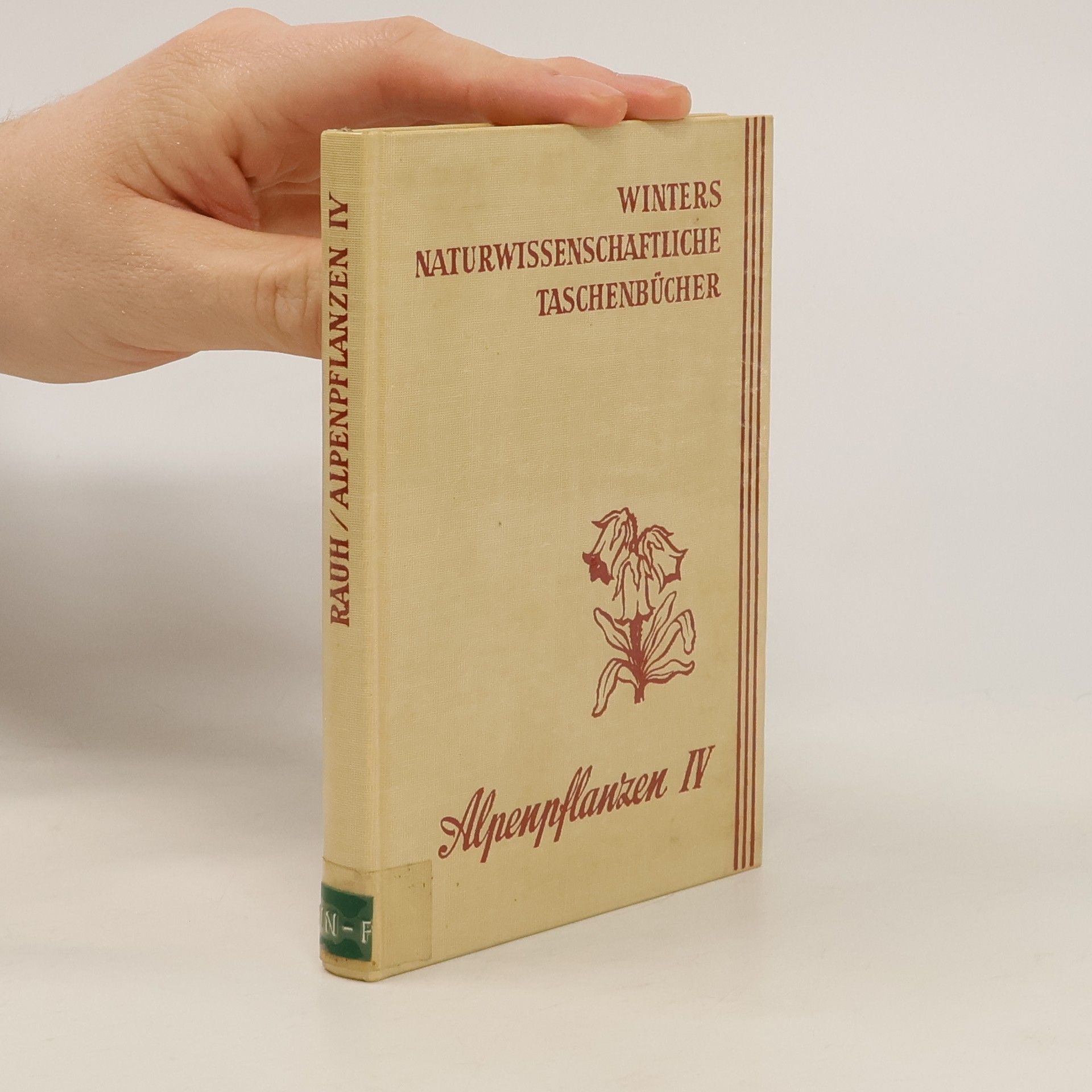 Werner Rauh Alpenpflanzen IV.