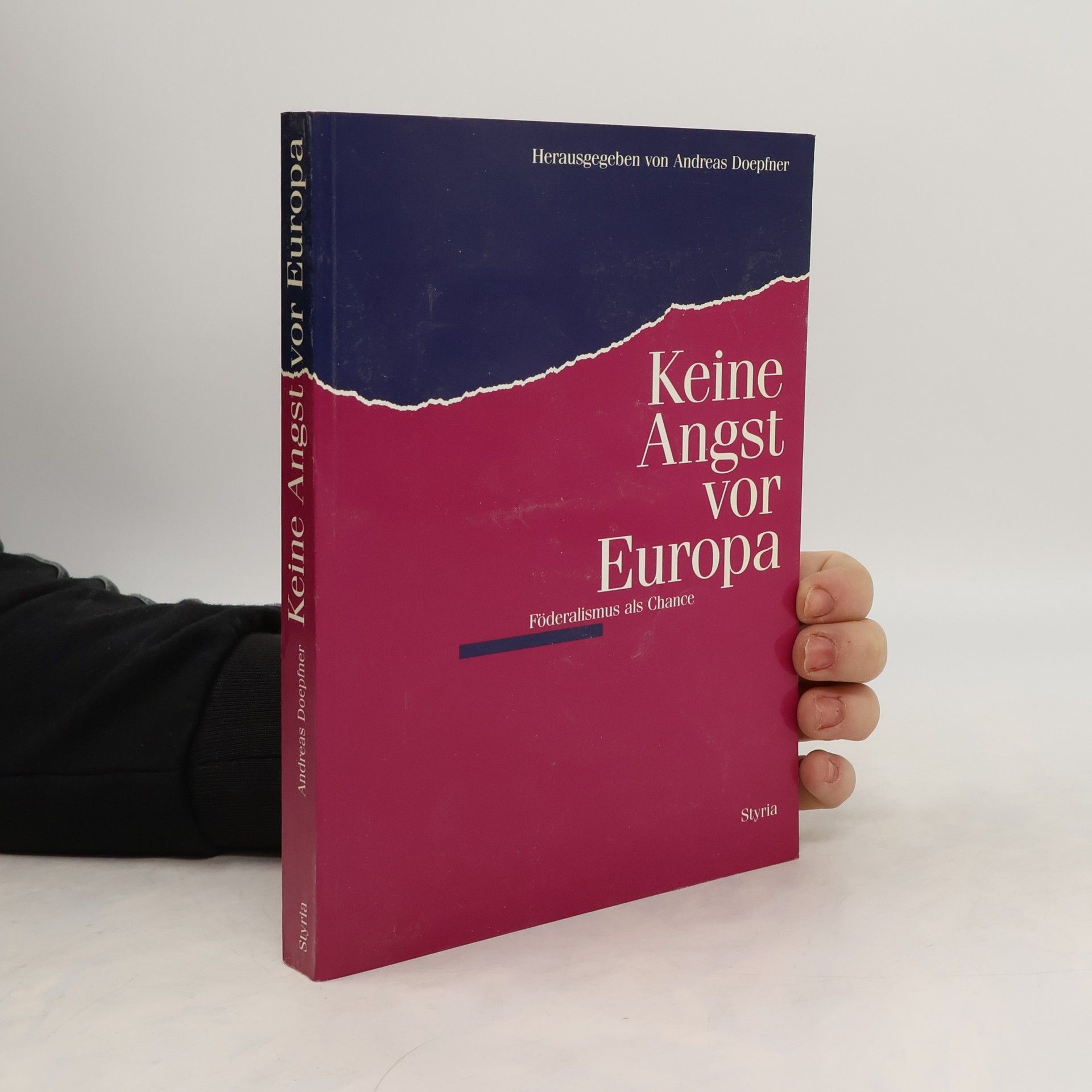 Andreas Doepfner Keine Angst vor Europa