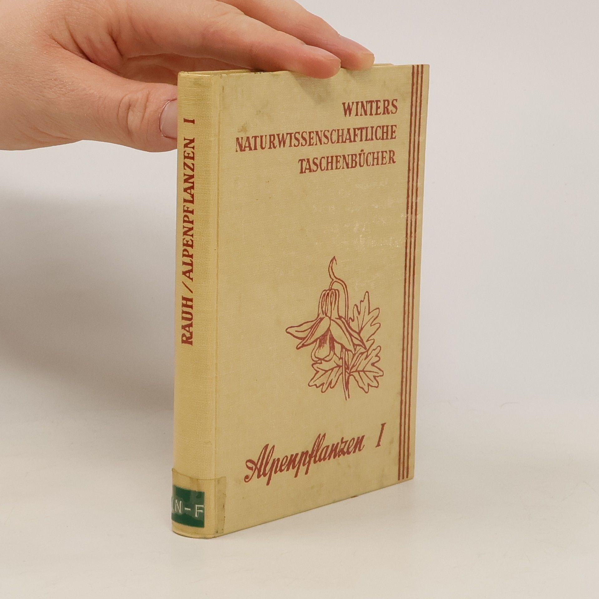 Werner Rauh Alpenpflanzen I