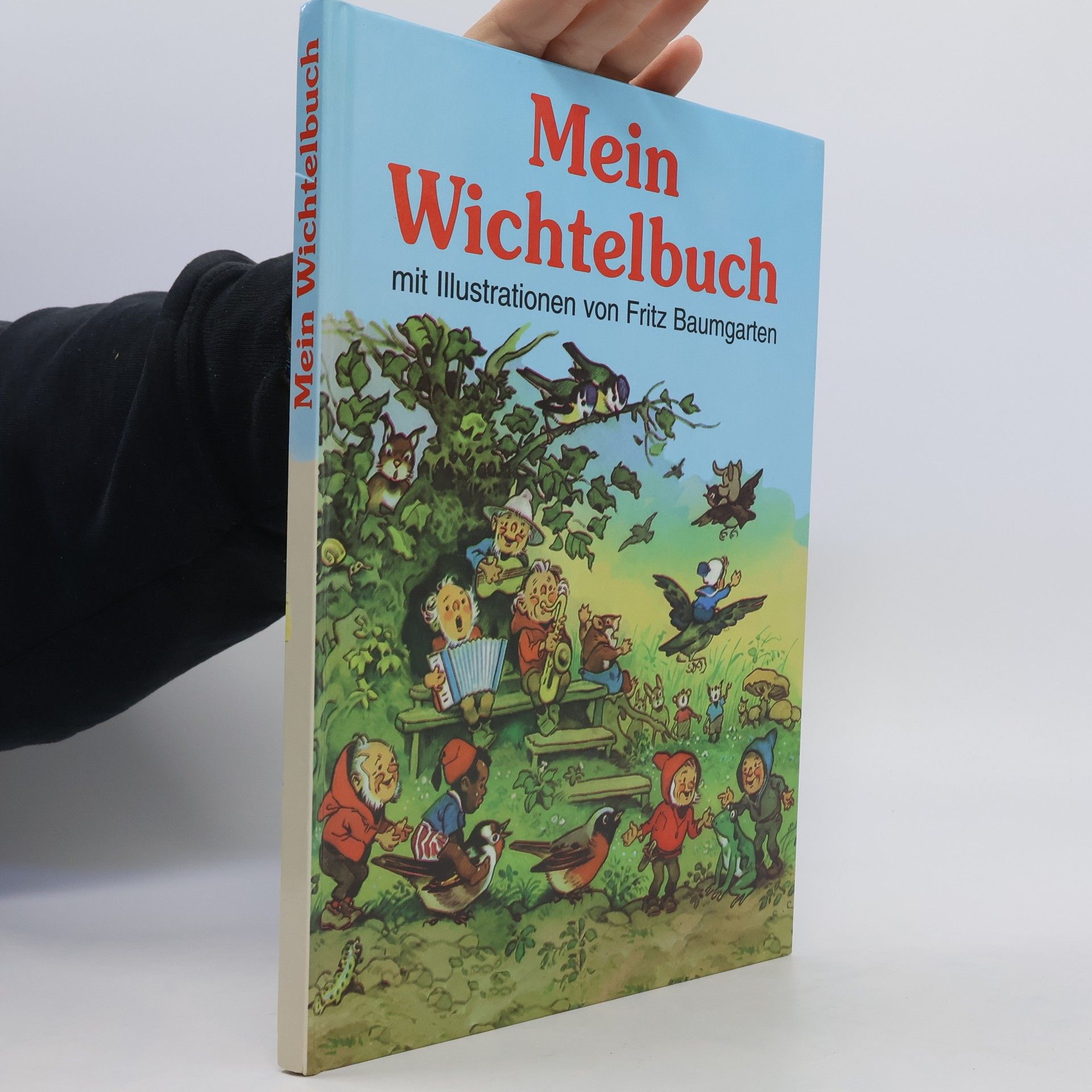 Wolfgang Mennel Mein Wichtelbuch