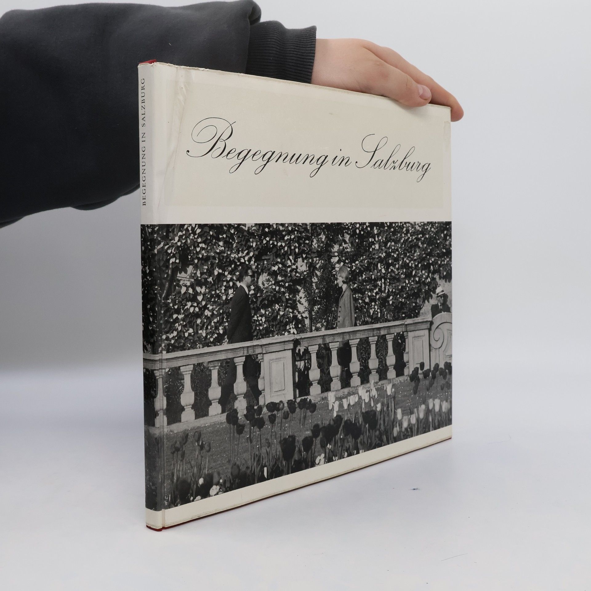 kolektiv Begegnung in Salzburg