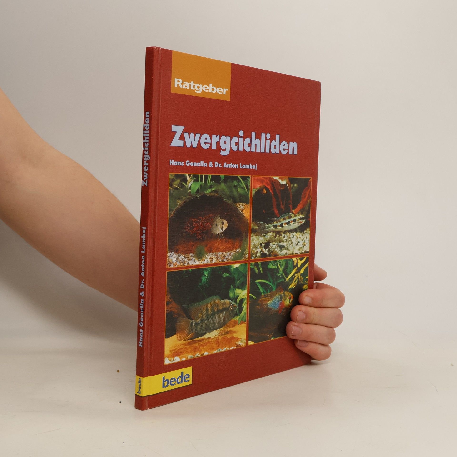 Hans Gonella Zwergcichliden