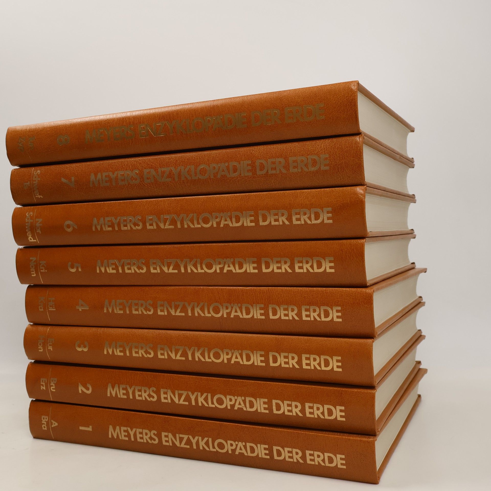 Collectif d'auteurs Meyers Enzyklopädie der Erde in 8 Bänden
