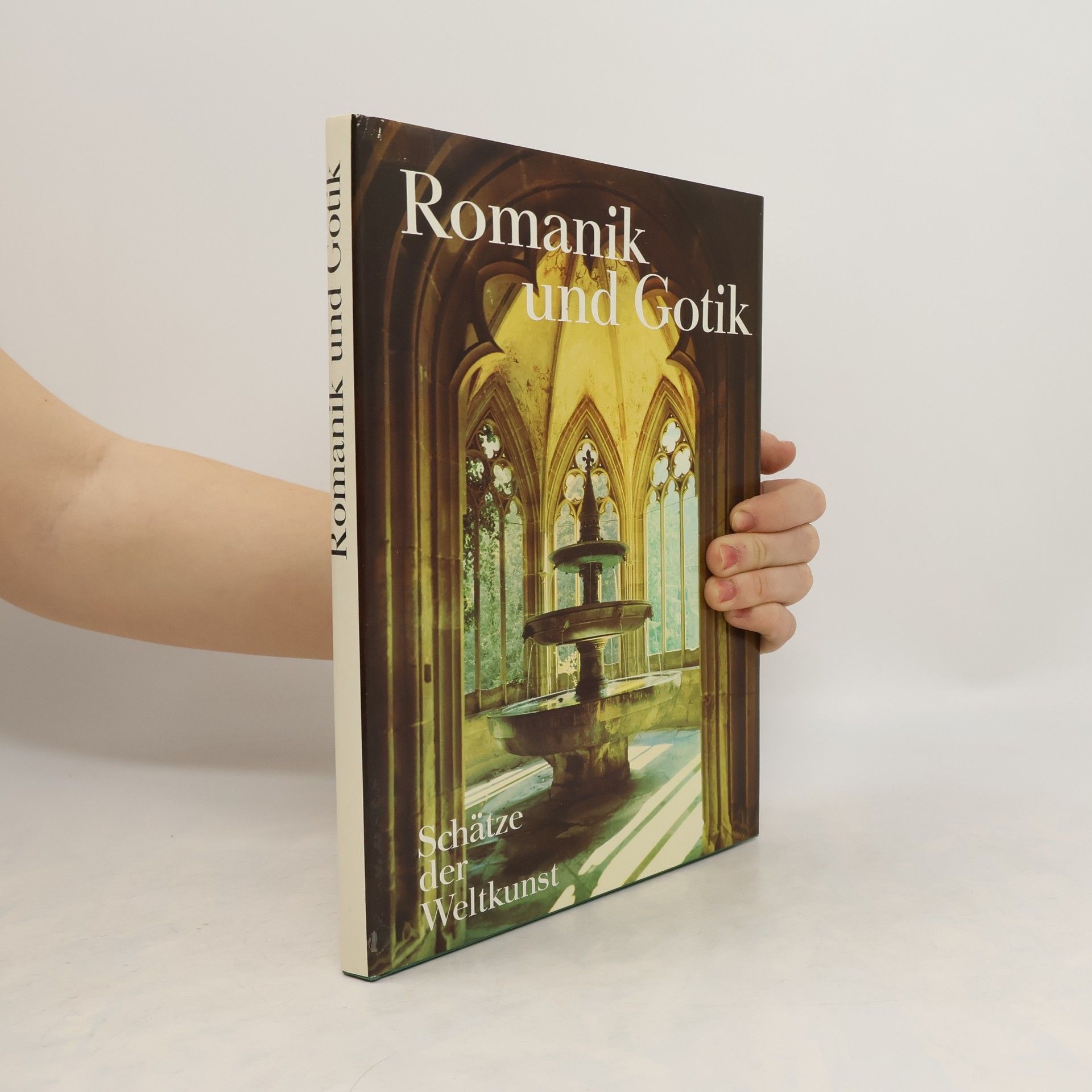 AA.VV. Romantik und Gotik