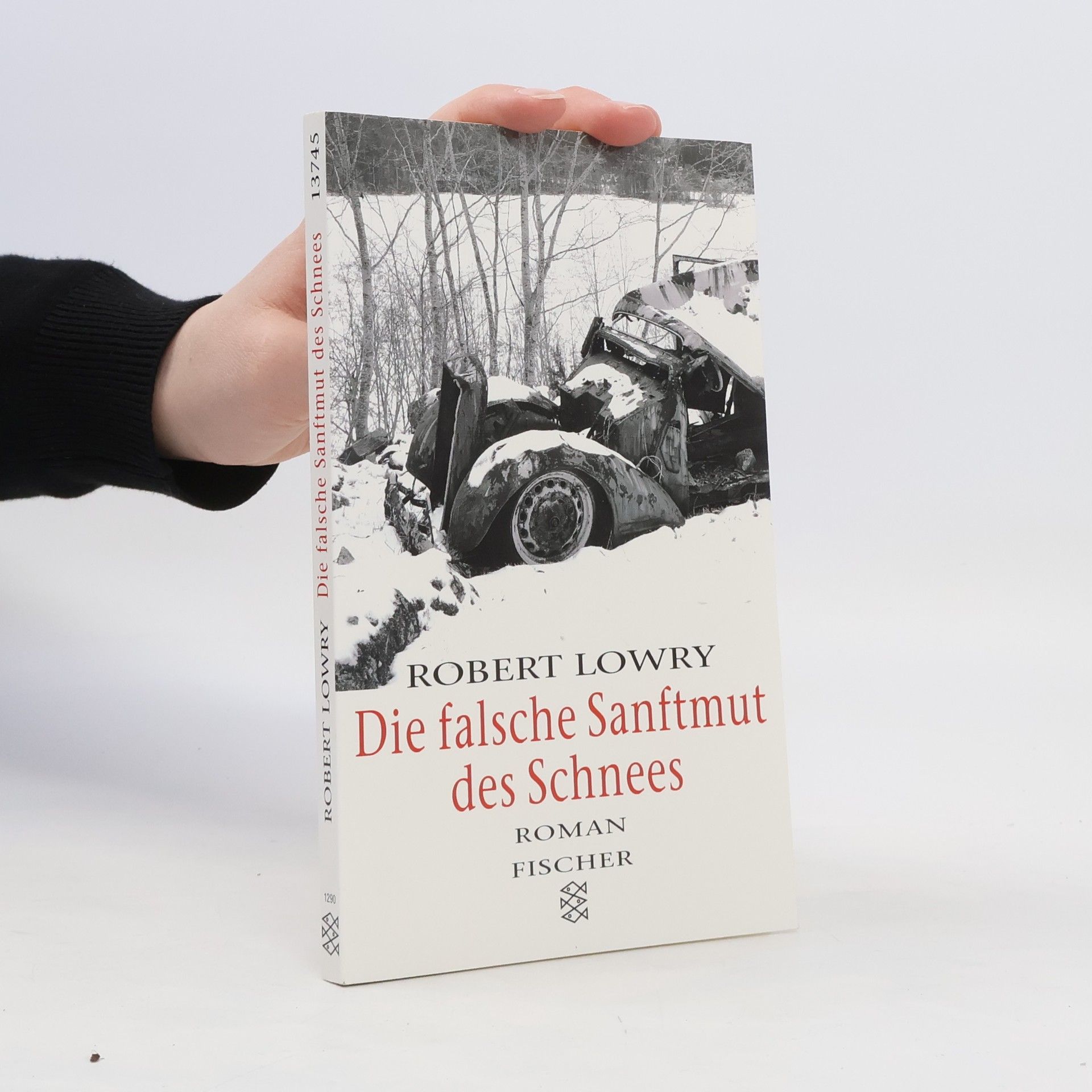 Robert Lowry Die falsche Sanftmut des Schnees
