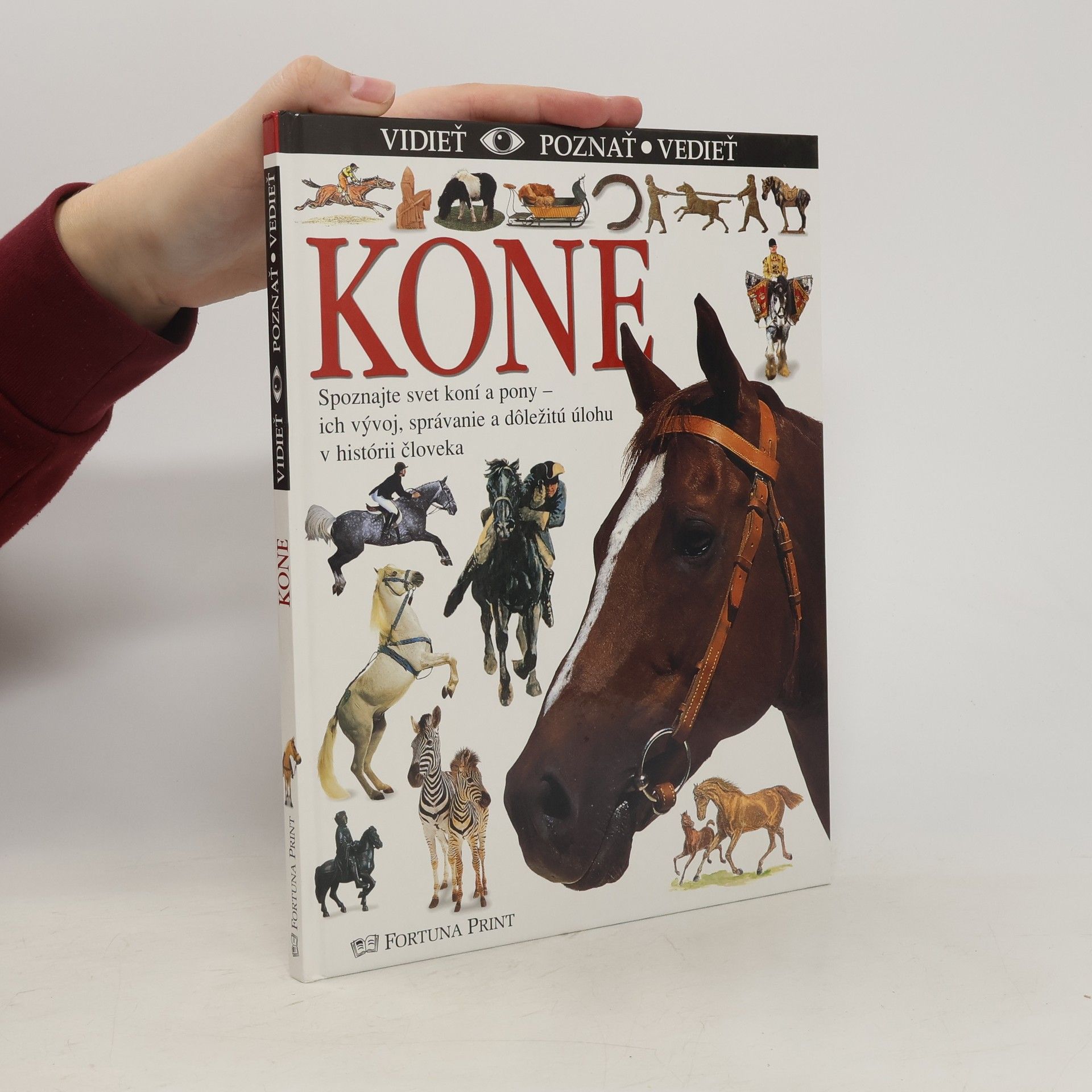 Collectif d'auteurs Kone