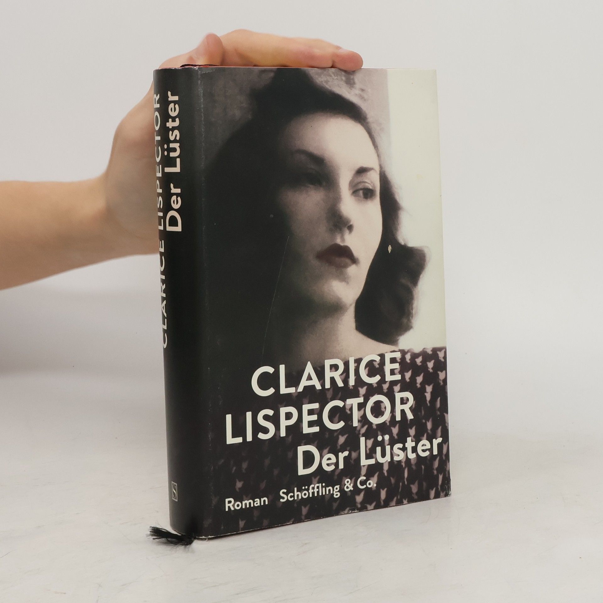 Clarice Lispector Der Lüster