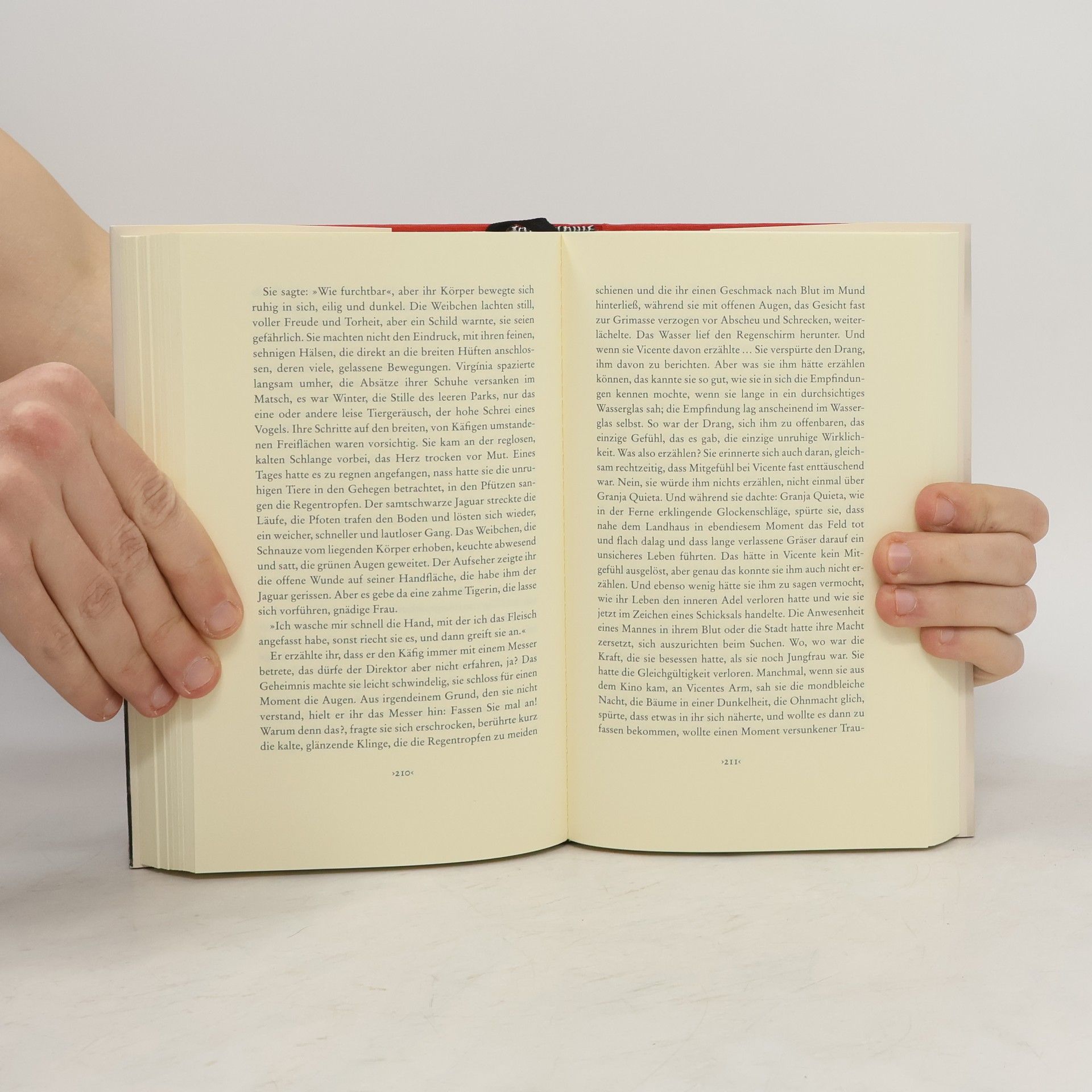 Clarice Lispector Der Lüster