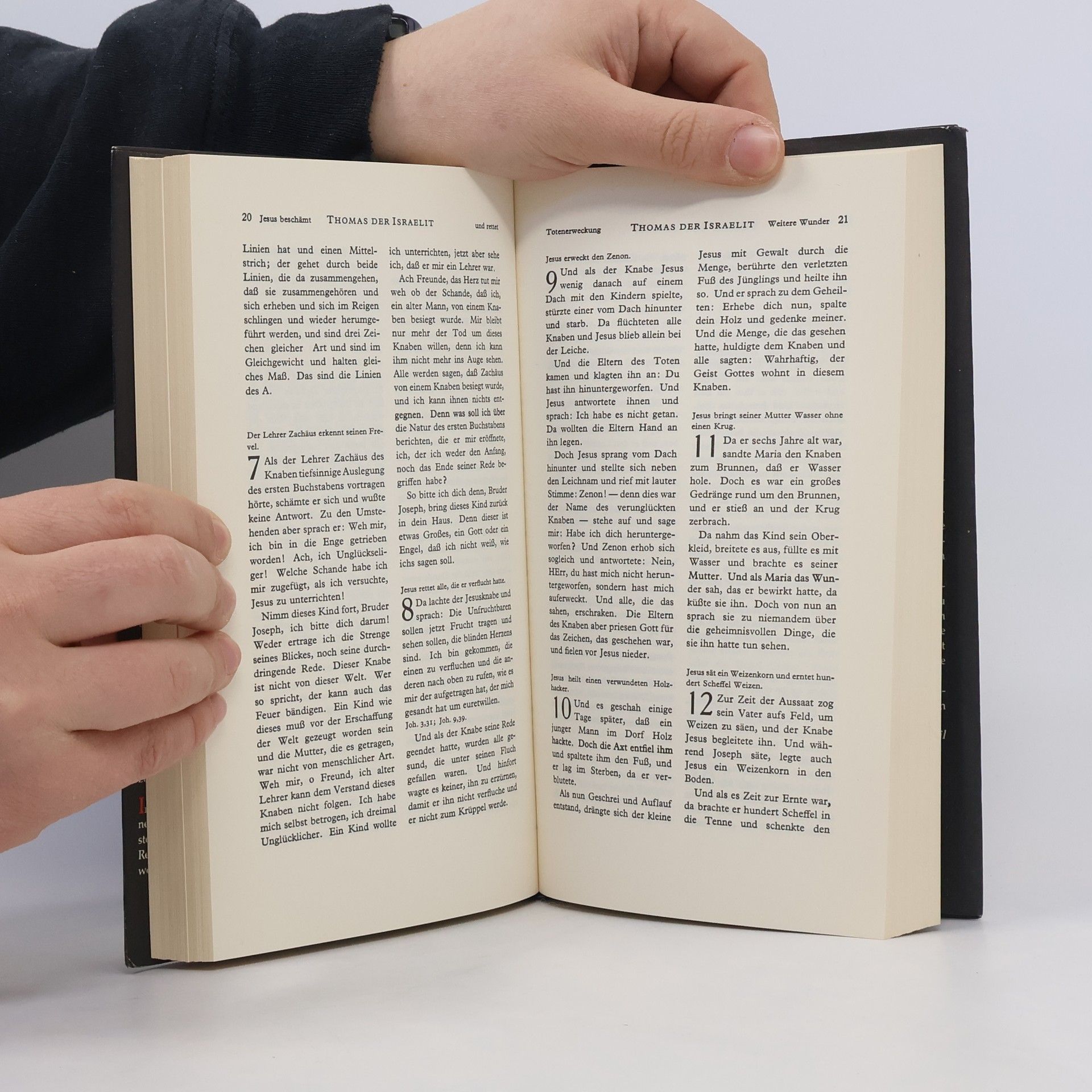 Alfred Pfabigan Die Andere Bibel : mit Altem und Neuem Testament