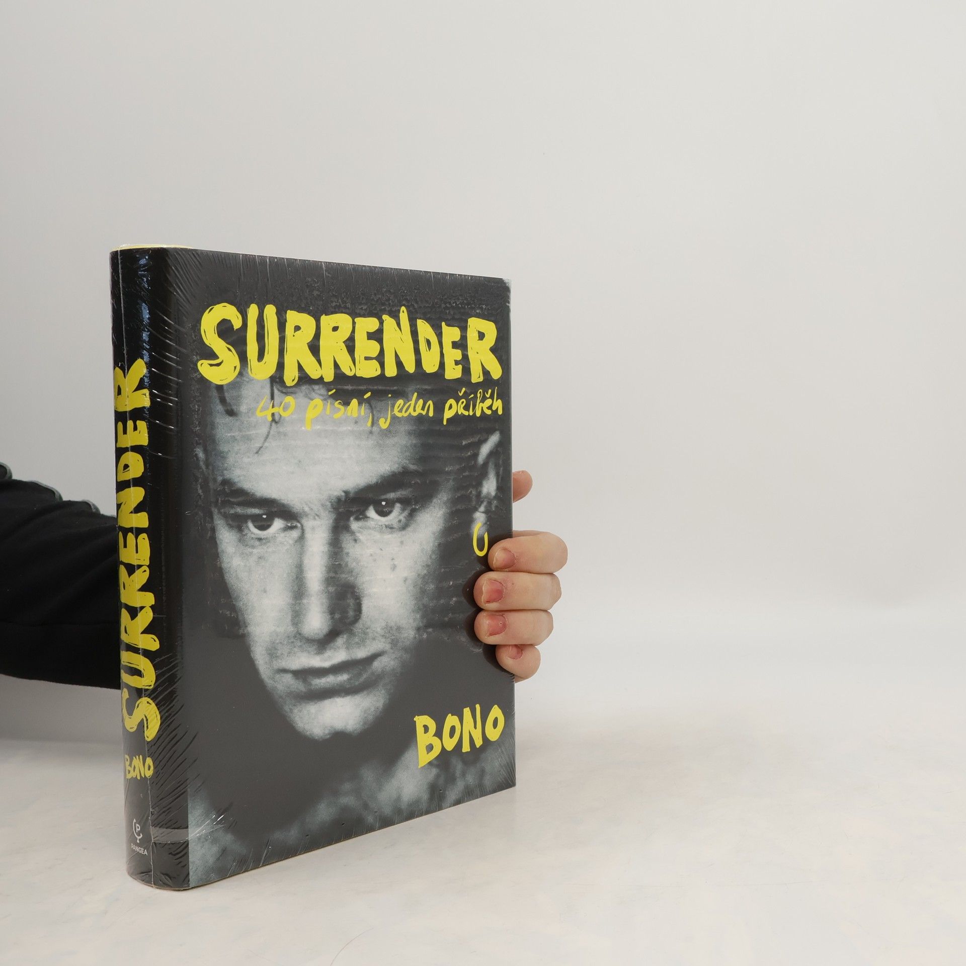Bono Surrender : 40 písní, jeden příběh