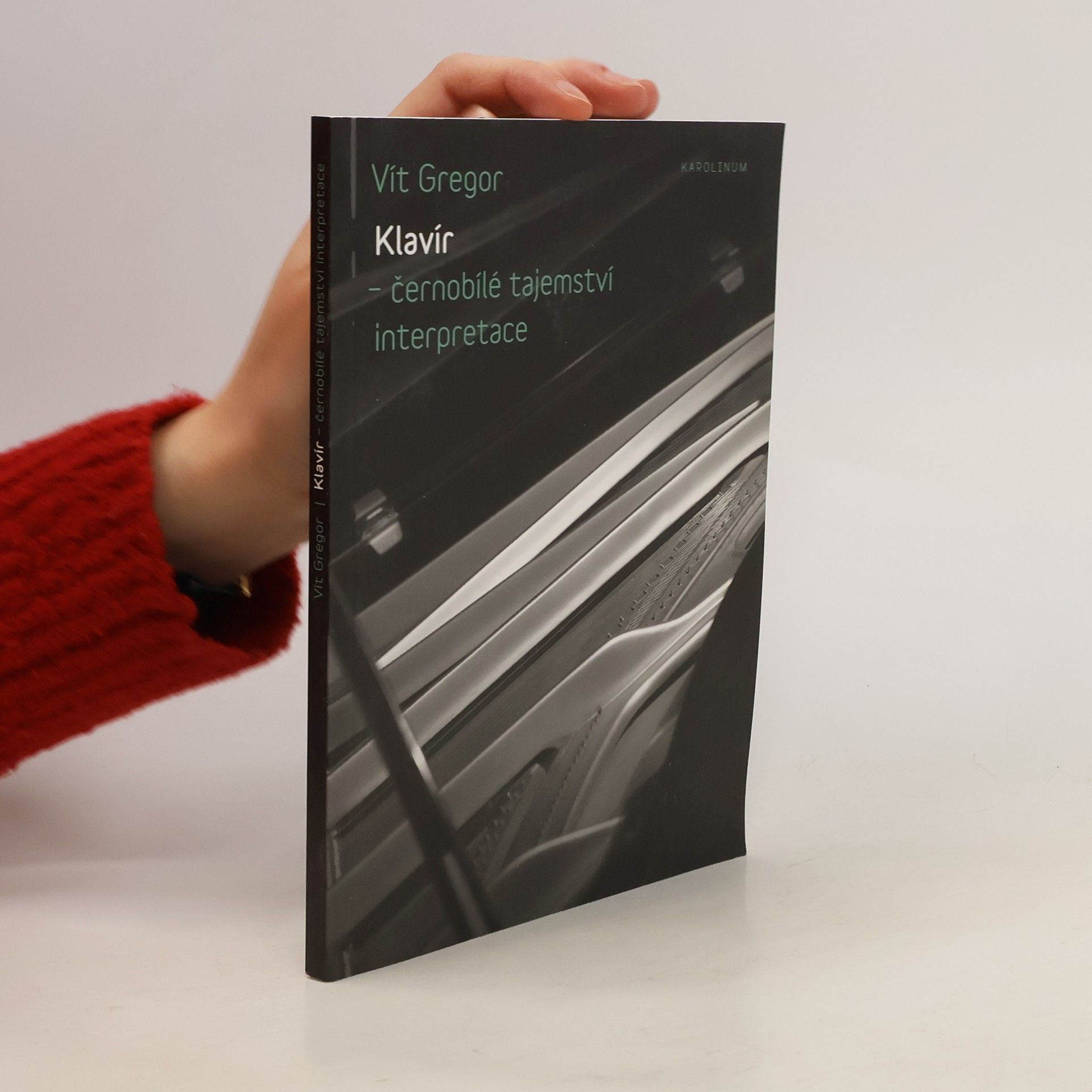 Vít Gregor Klavír