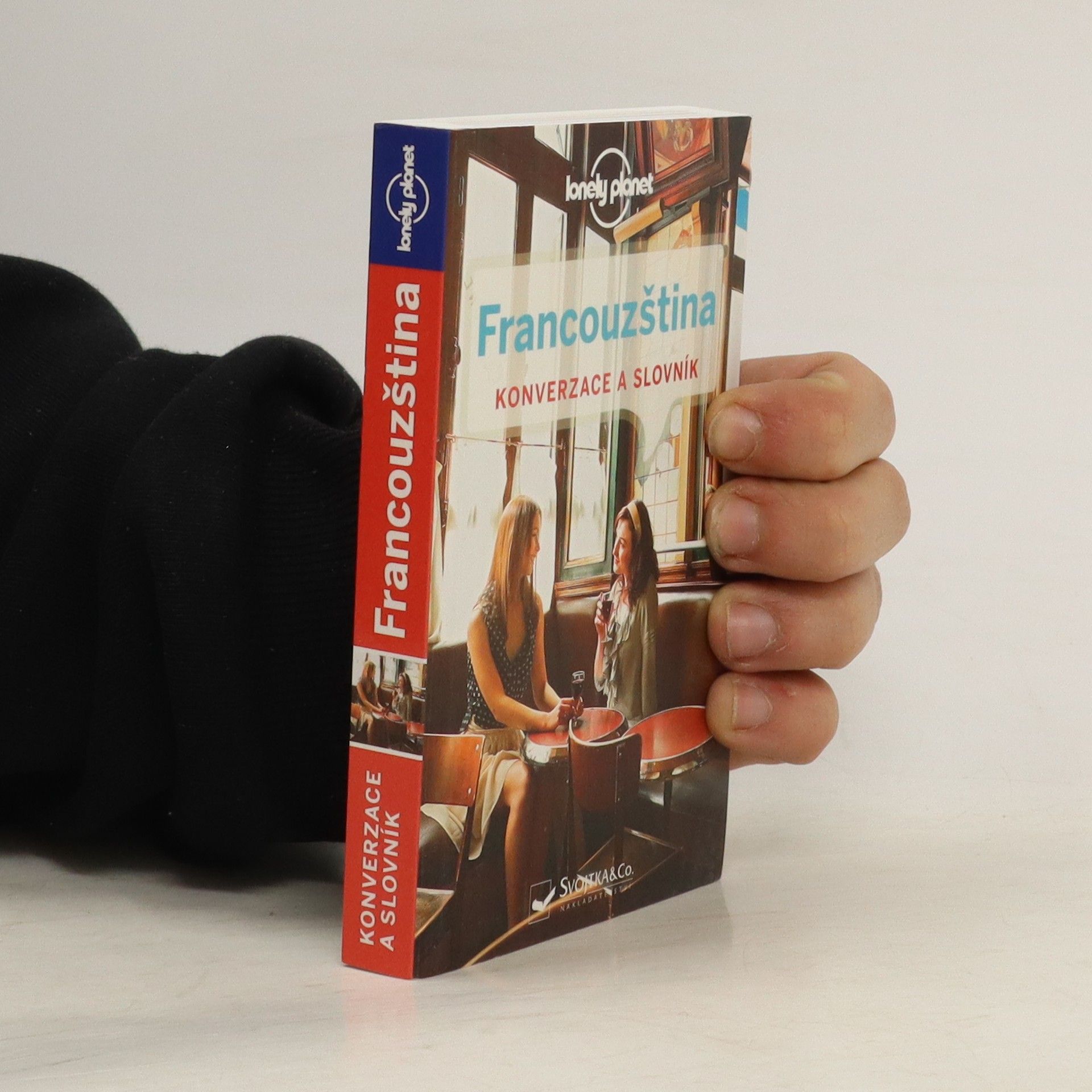 Collectif d'auteurs Francouzština - konverzace a slovník