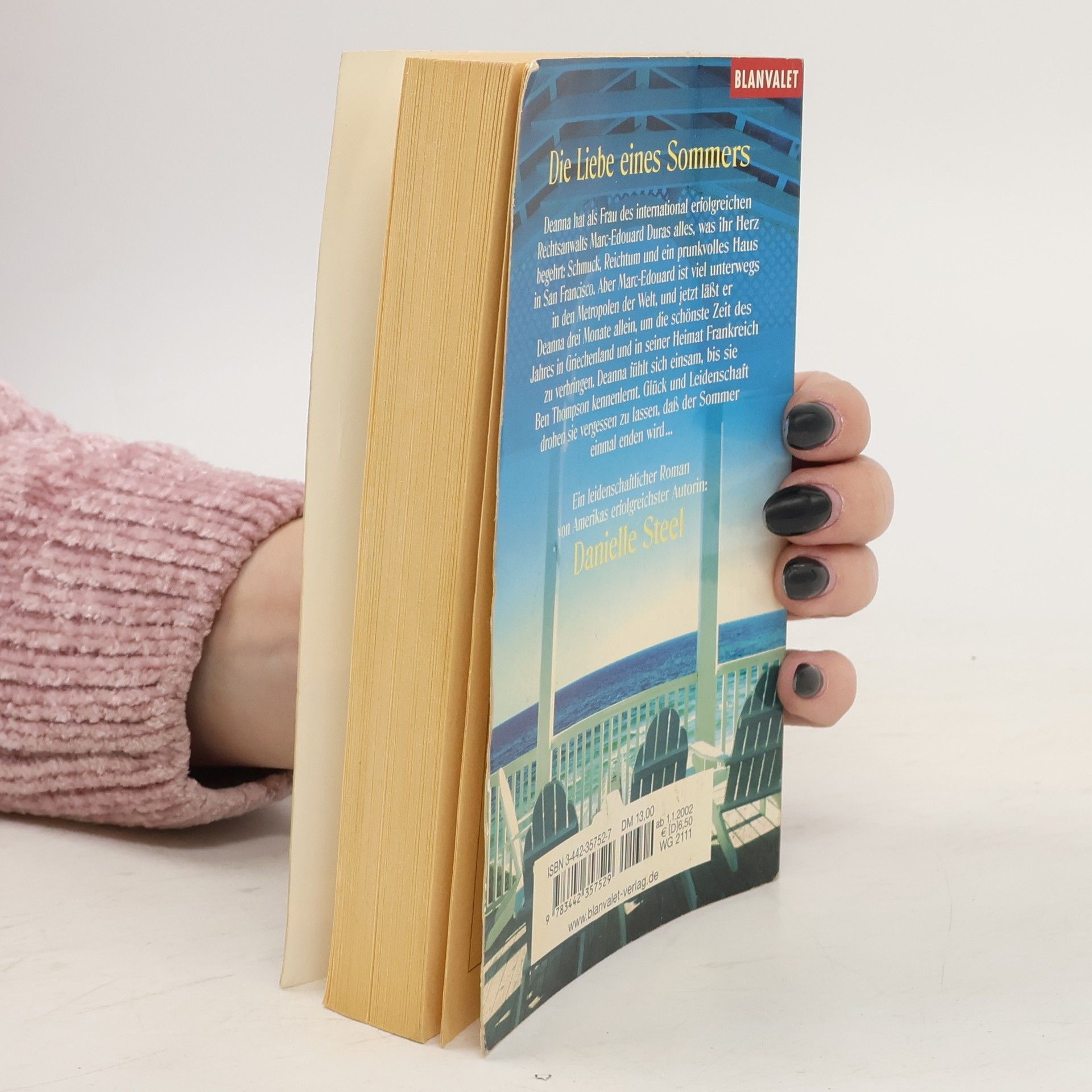 Danielle Steel Die Liebe eines Sommers