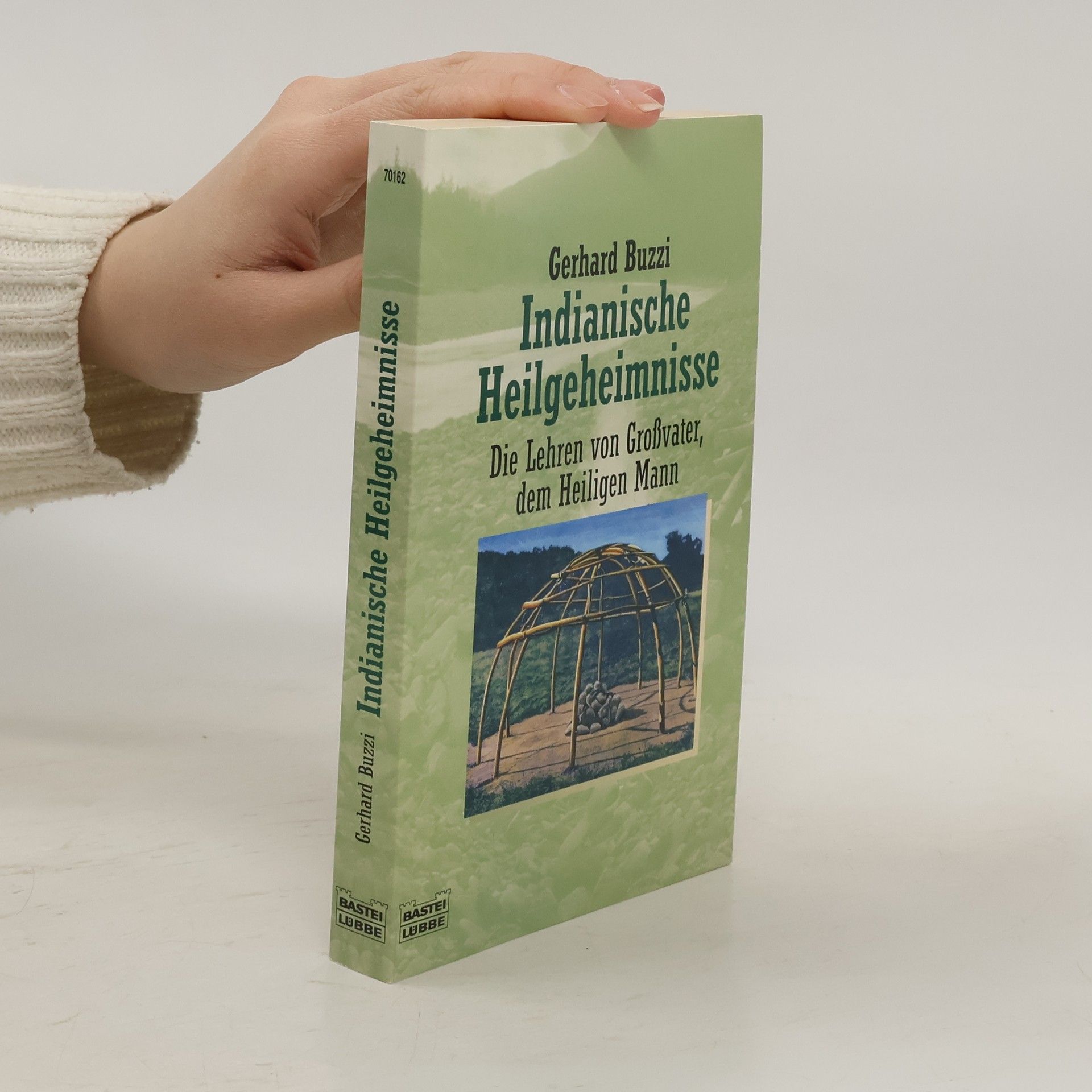 Gerhard Buzzi Indianische Heilgeheimnisse