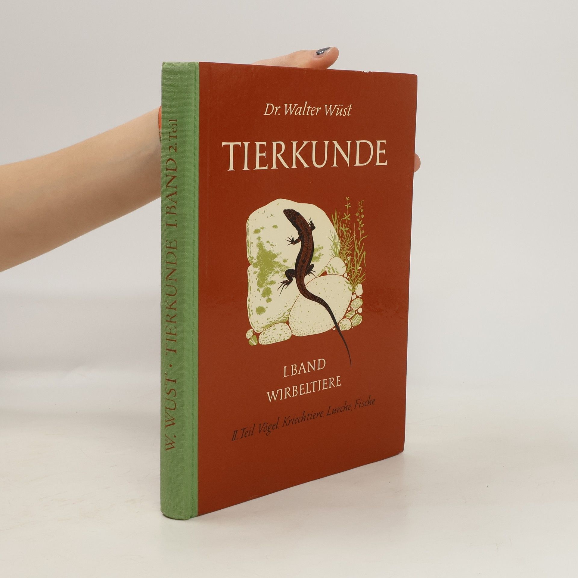 Walter Wüst Tierkunde I. Band. II. Teil
