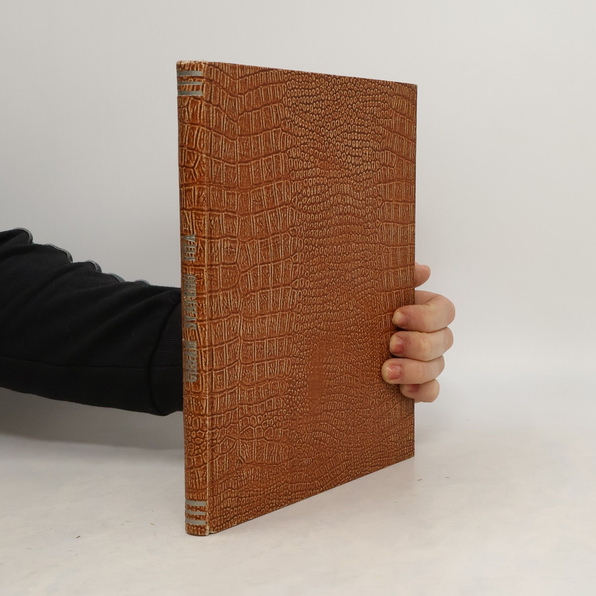 AA.VV. Metropolitní Chrám svatého Víta