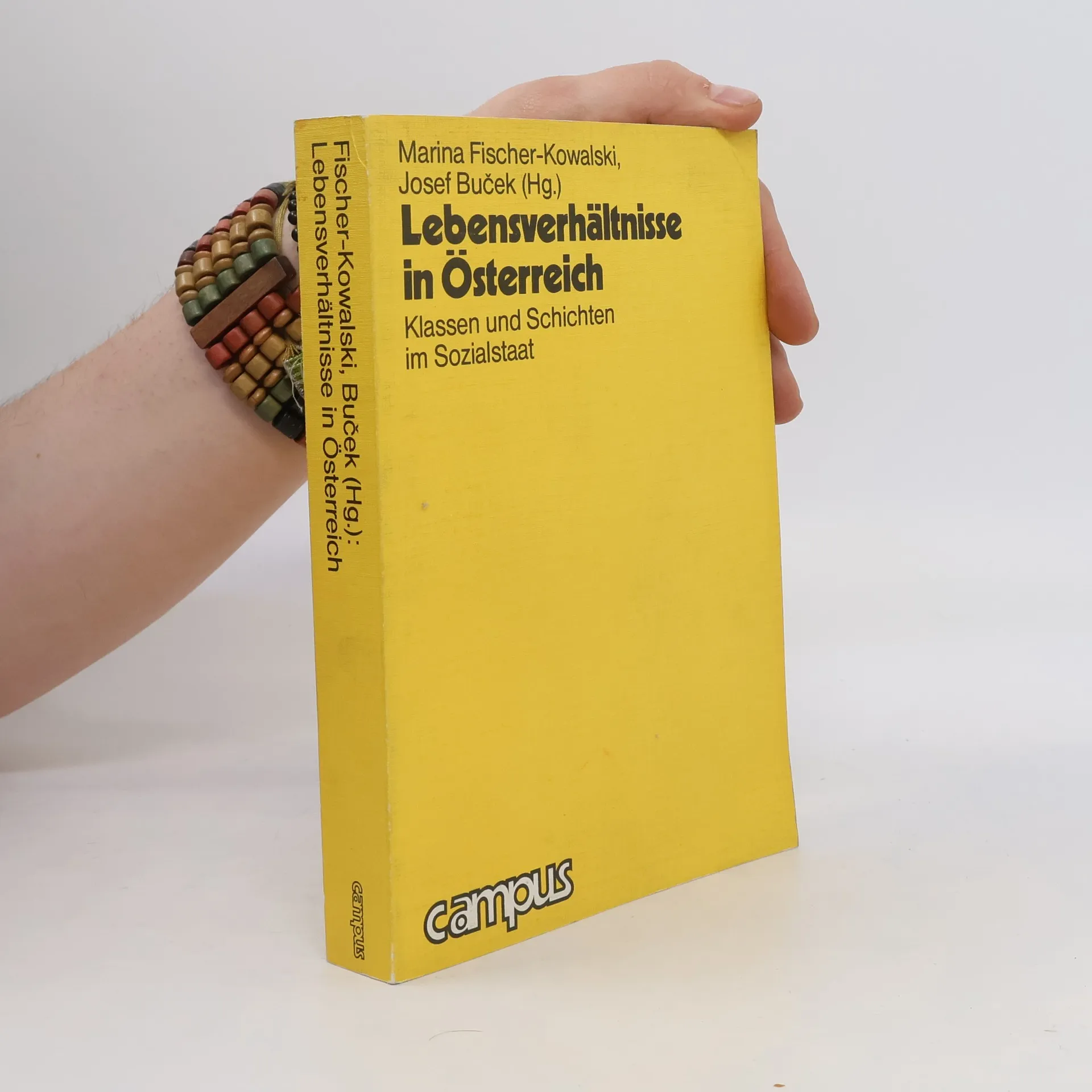 Lebensverhältnisse in Österreich | Kniha | Marina Fischer Kowalski | DE