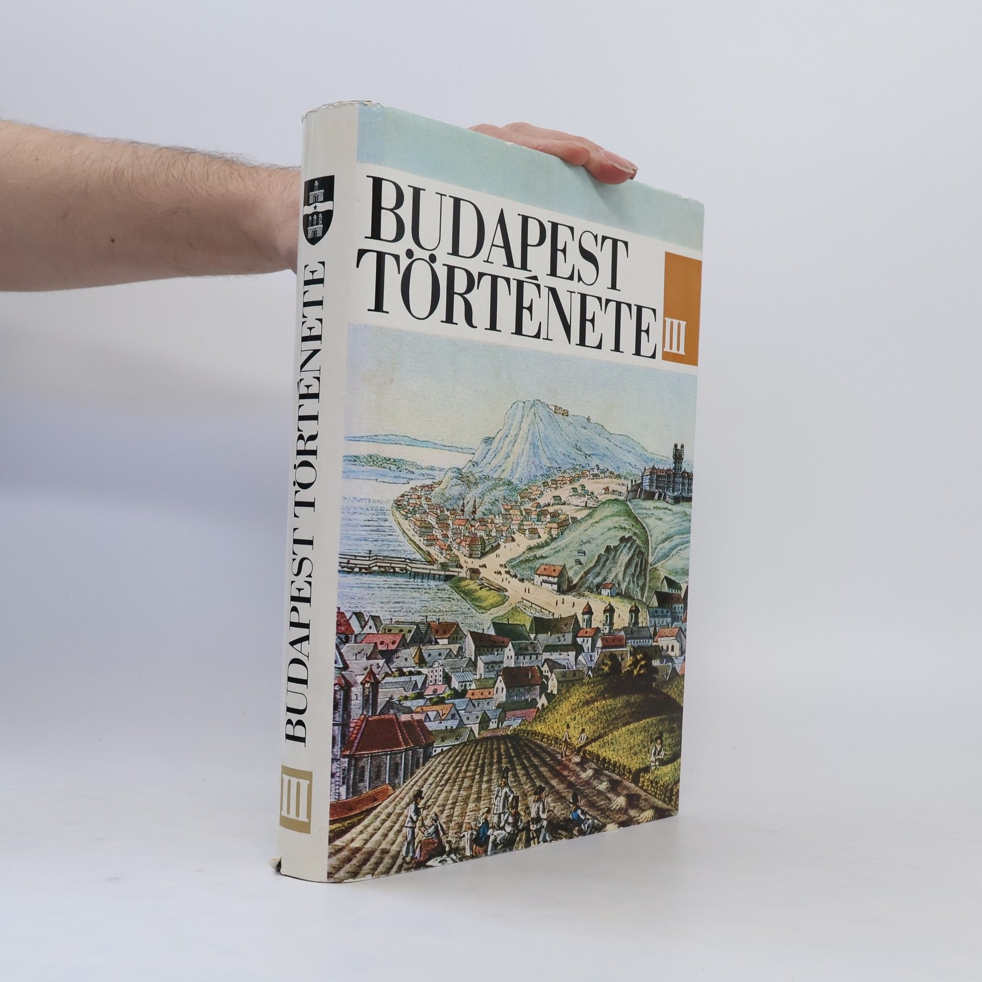 Autorenkollektiv Budapest története
