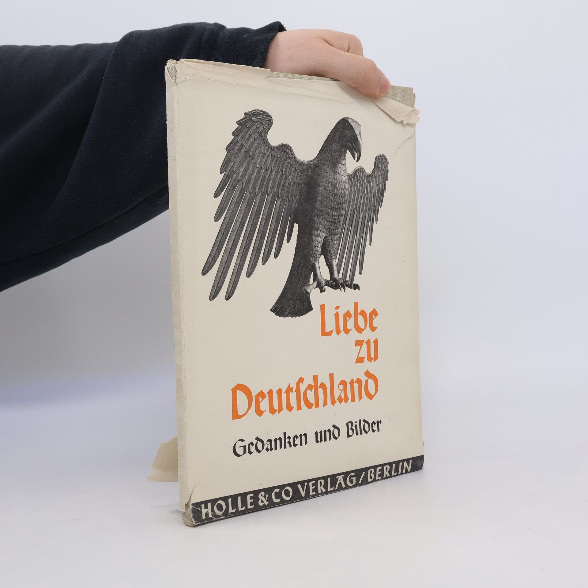 Collectif d'auteurs Liebe zu Deutschland. Gedanken und Bilder