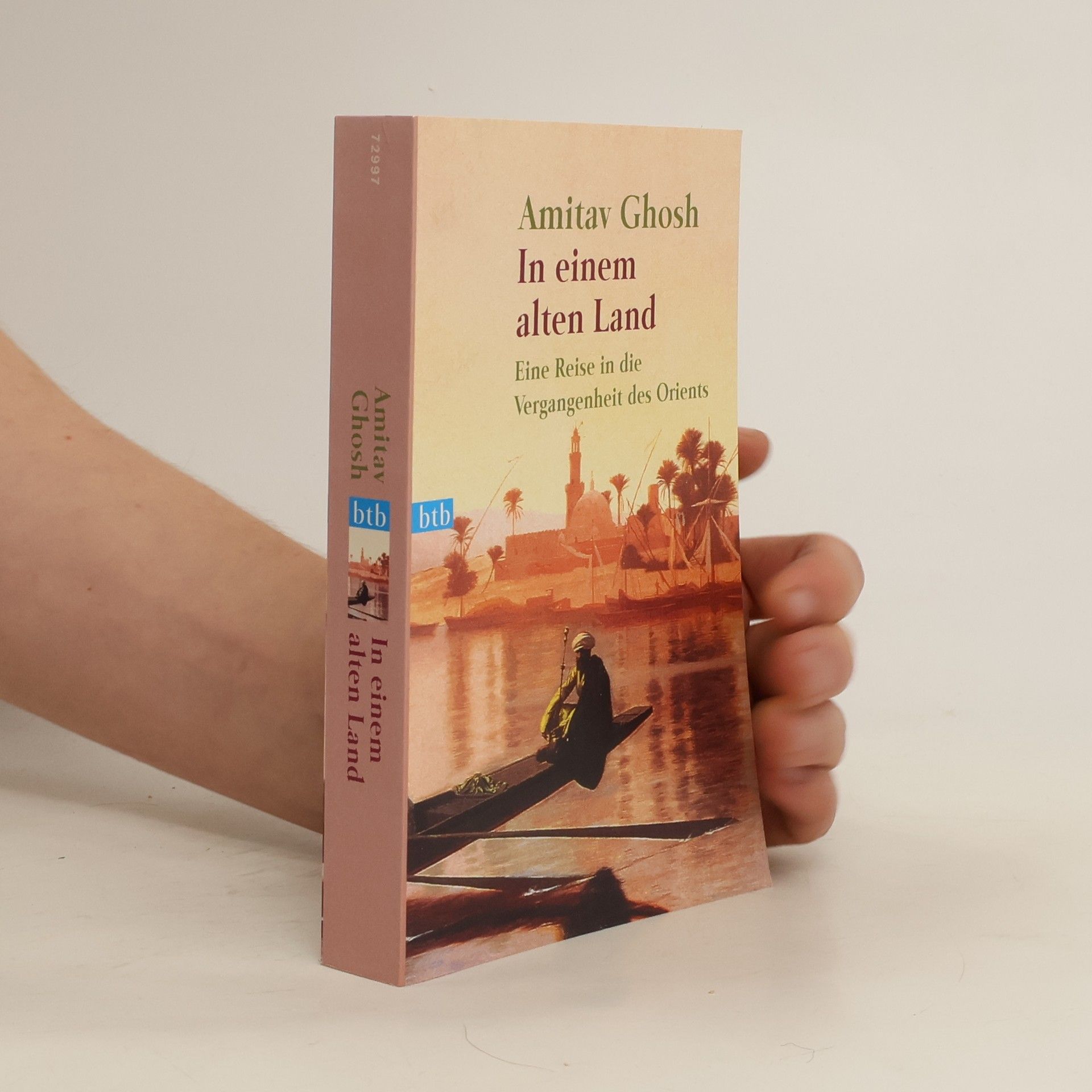 Amitav Ghosh In einem alten Land