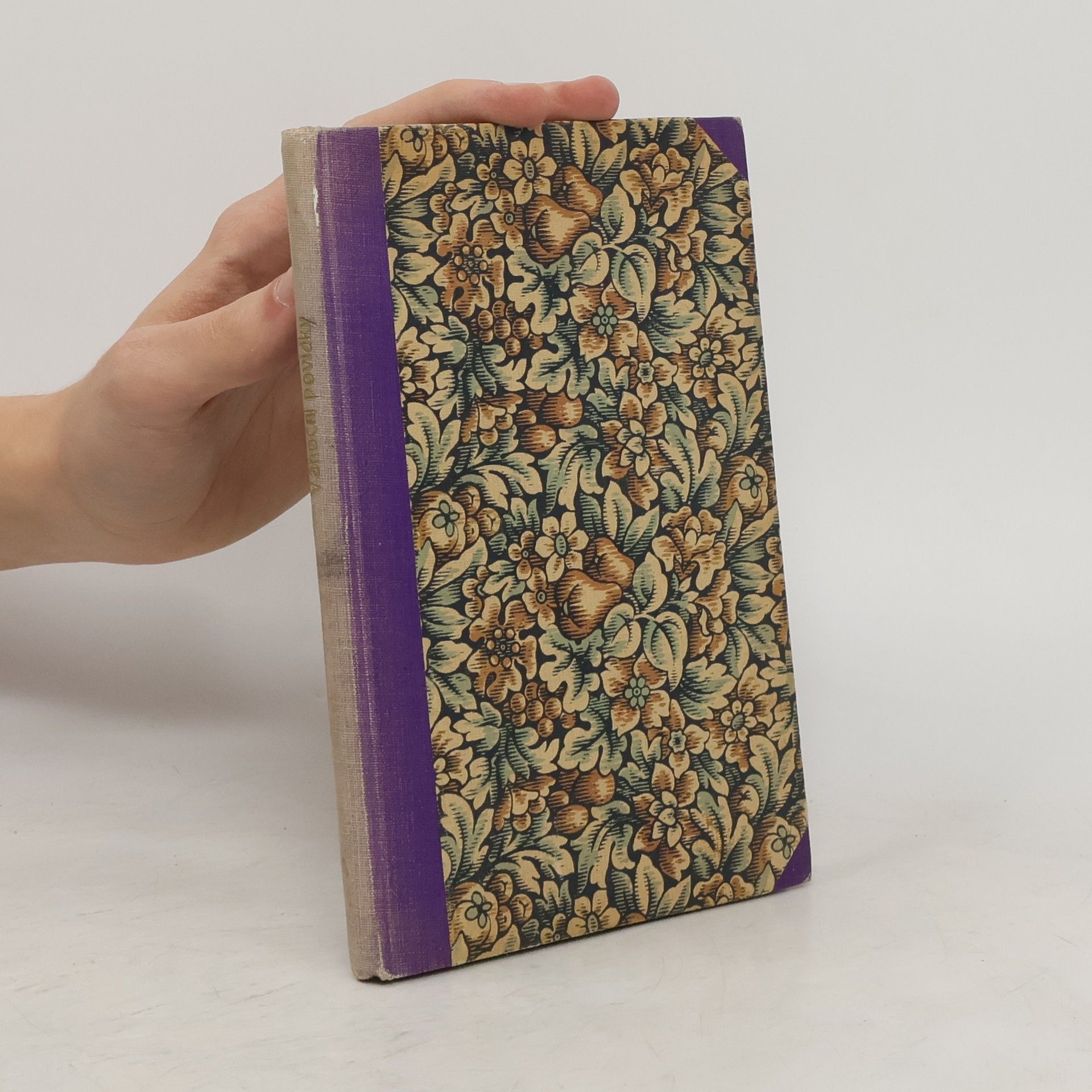 Kolektiv autorů Vánoční povídky