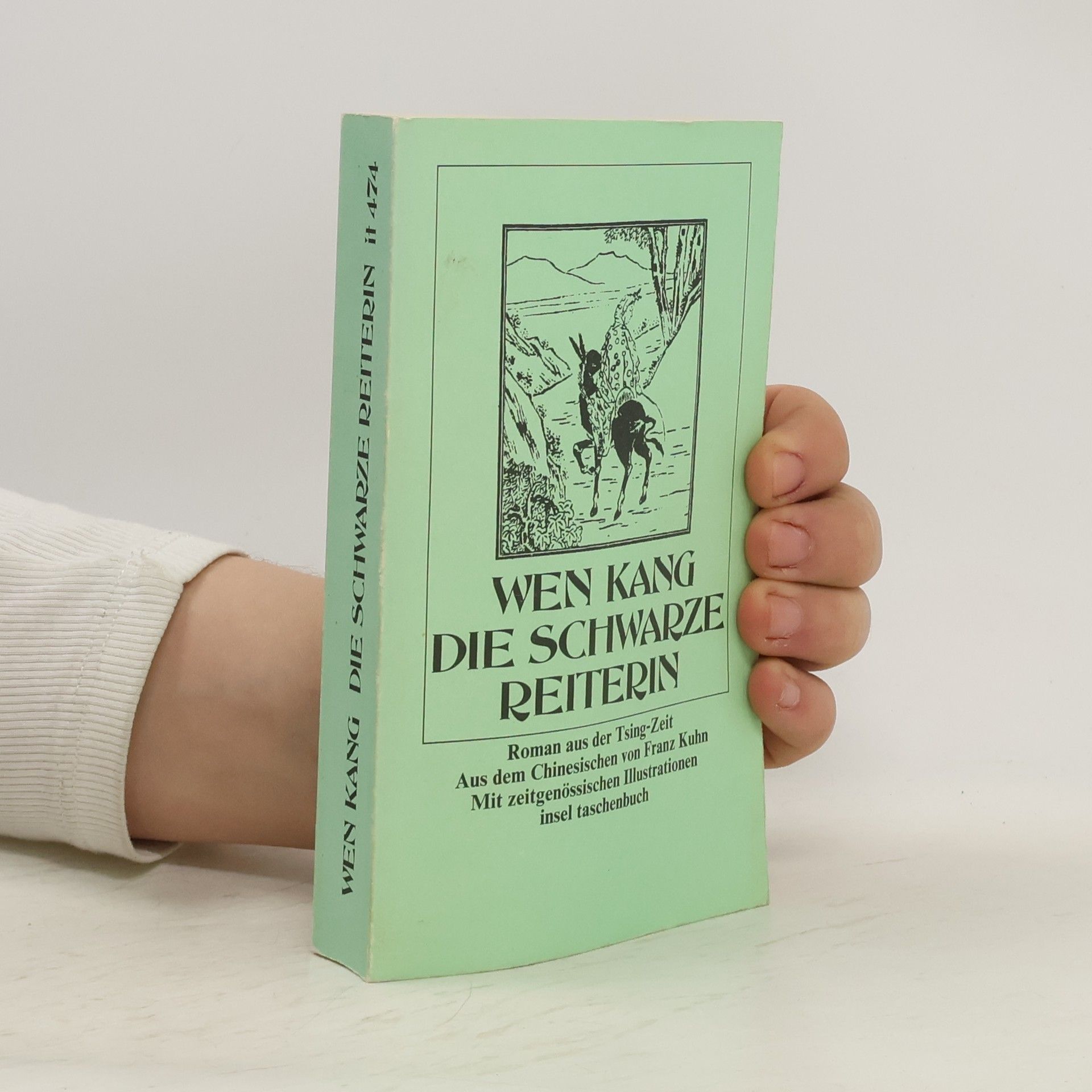 Wen Kang Die schwarze Reiterin. Roman aus der Tsing-Zeit