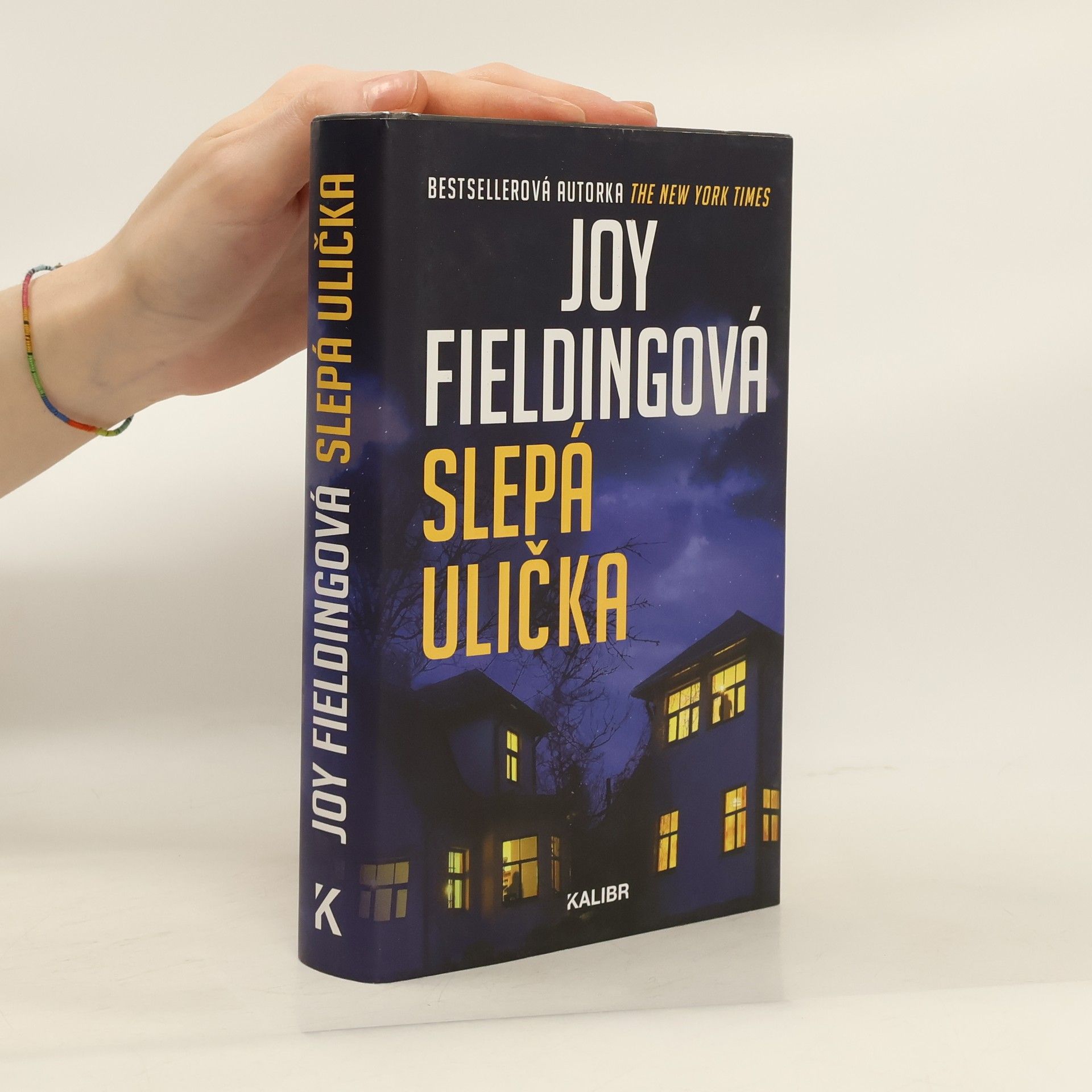 Joy Fielding Slepá ulička