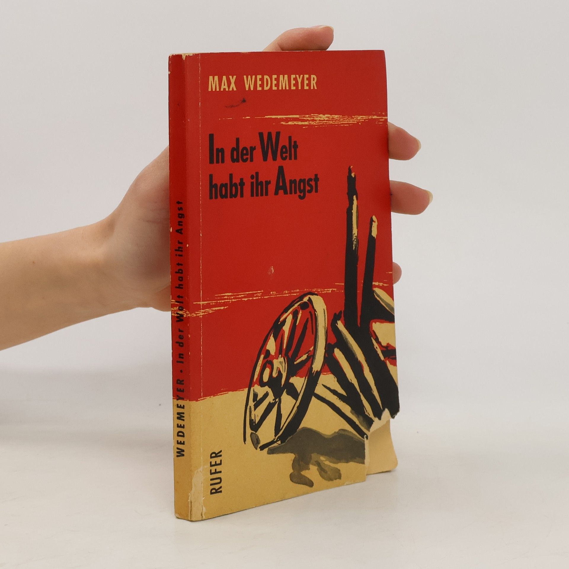 Max Wedemeyer In der Welt habt ihr Angst