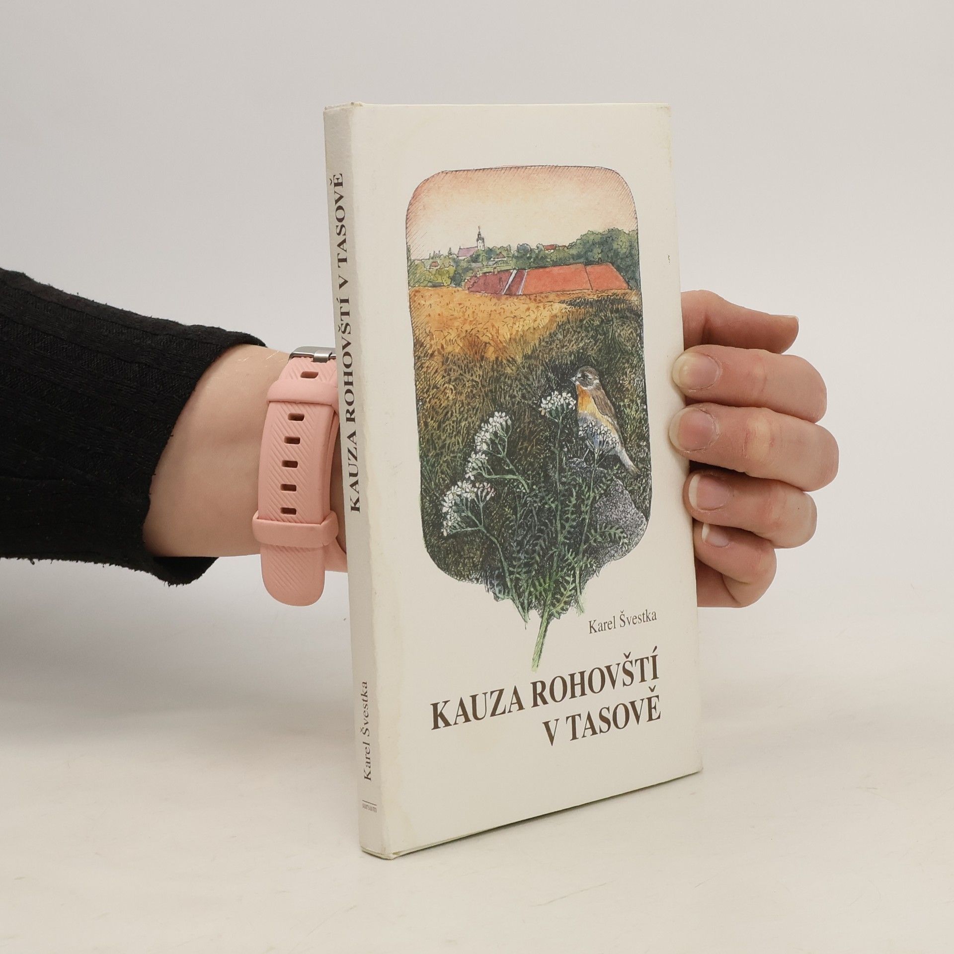 Karel Švestka Kauza Rohovští v Tasově
