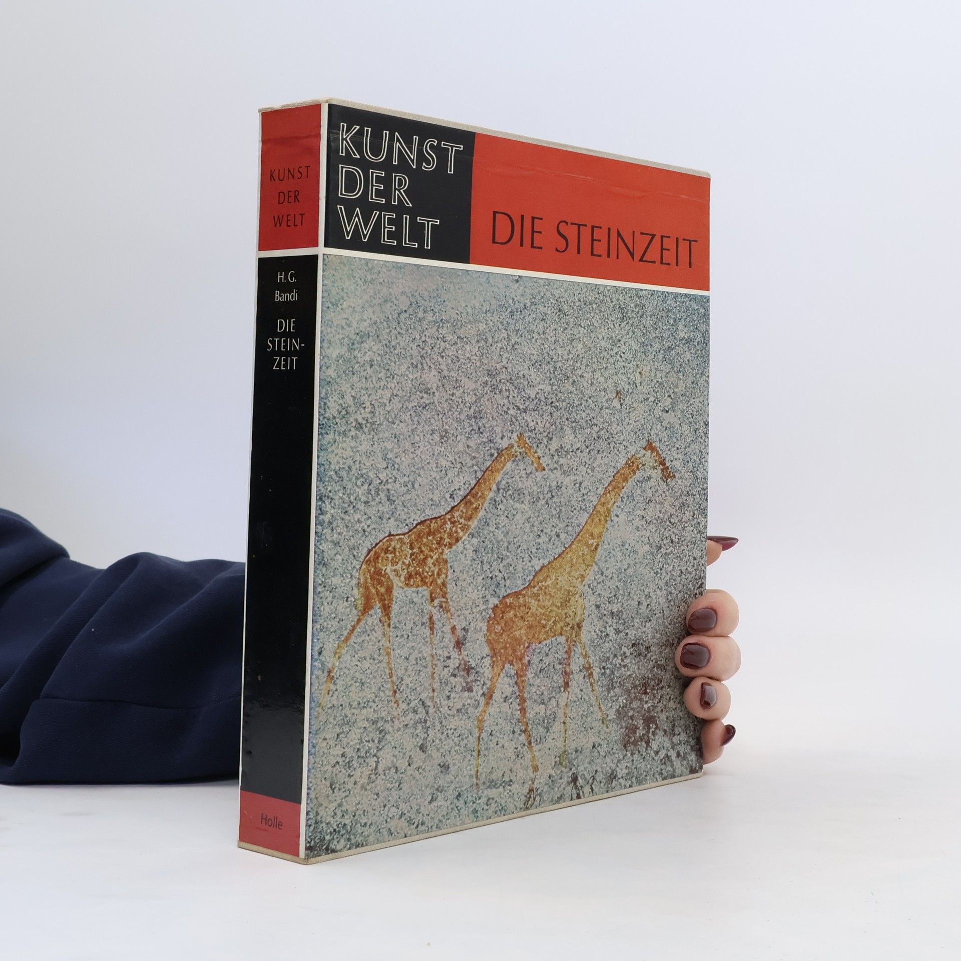 Kolektiv autorů Die Steinzeit