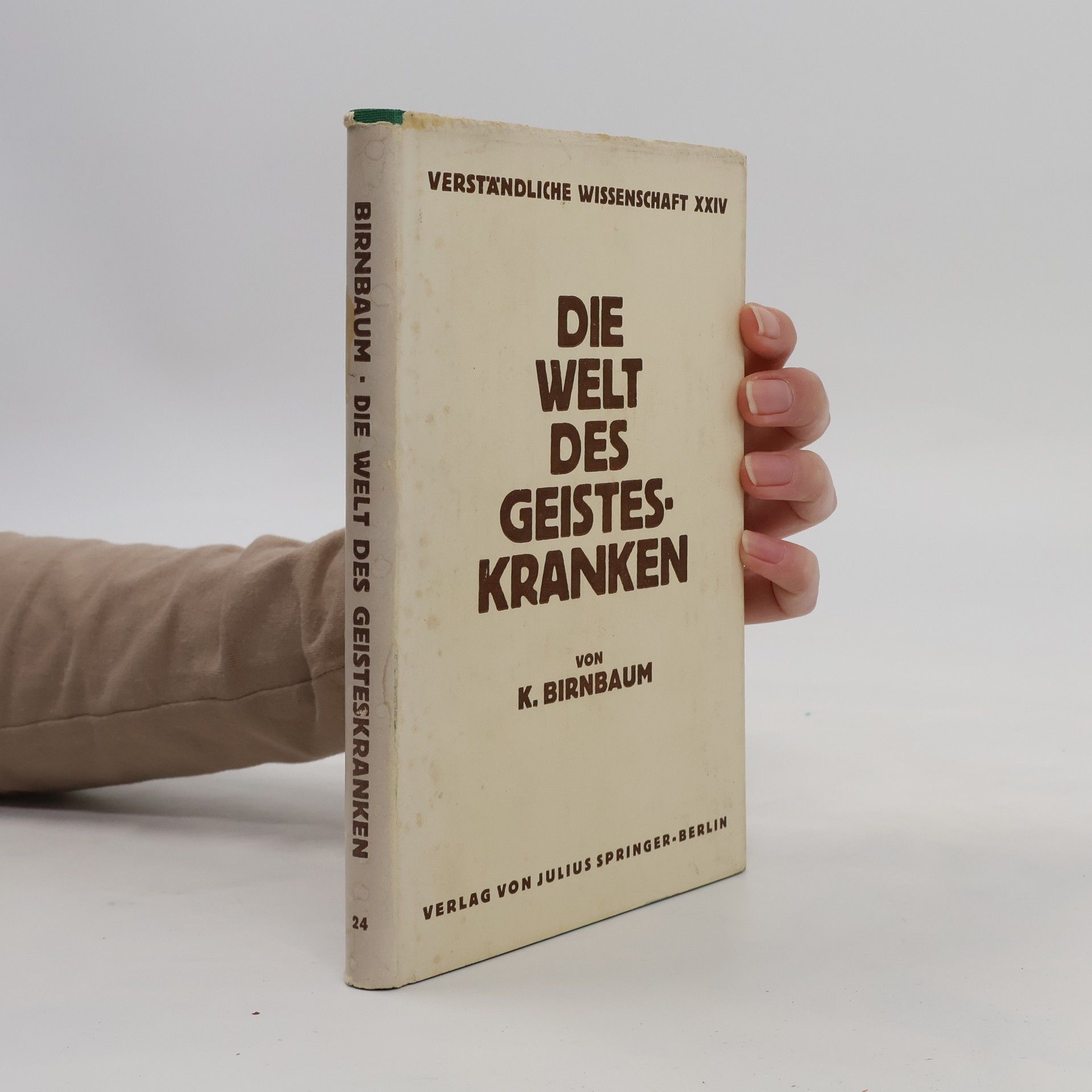 Karl Birnbaum Die Welt des Geisteskranken