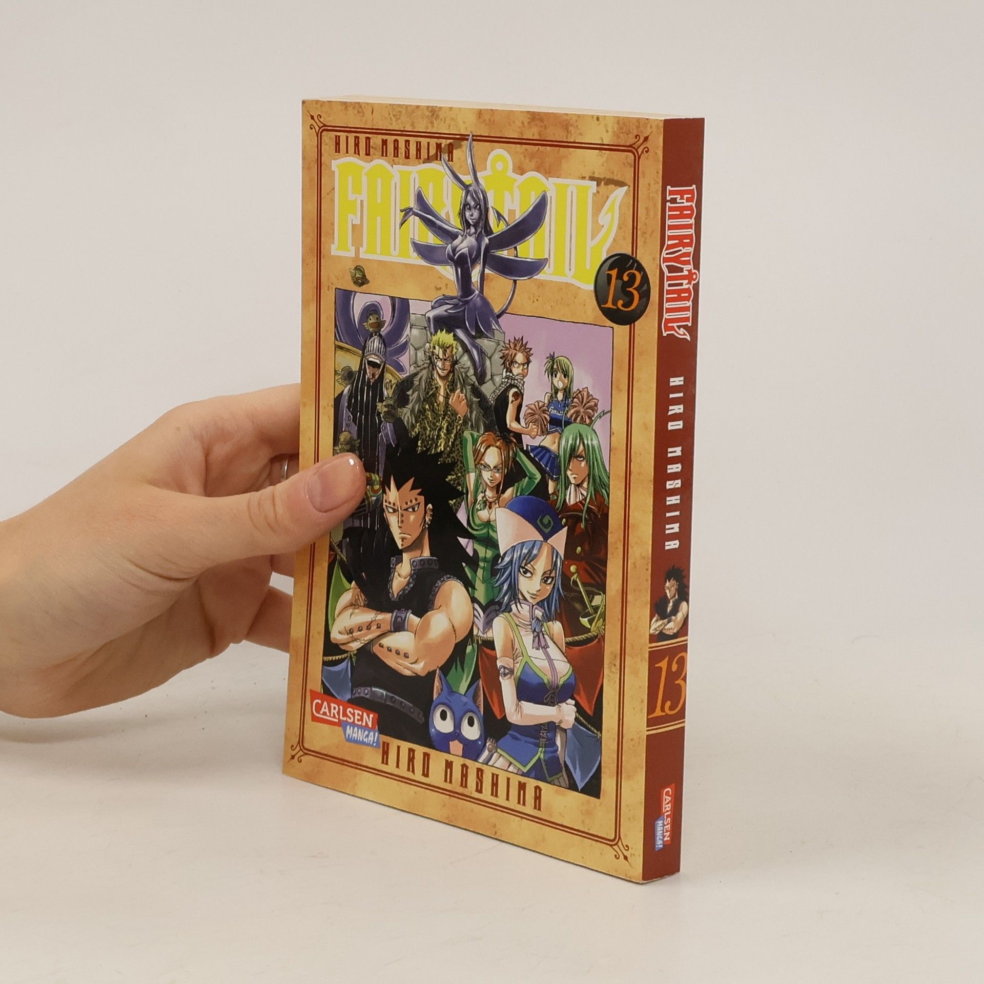 Hiro M. Fairy Tail 13