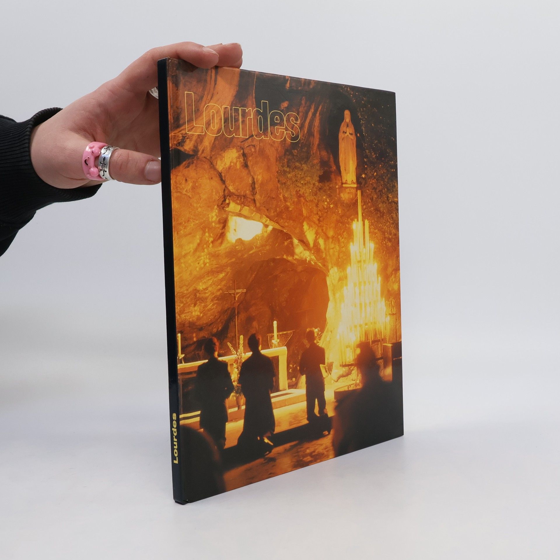 Collectif d'auteurs Lourdes