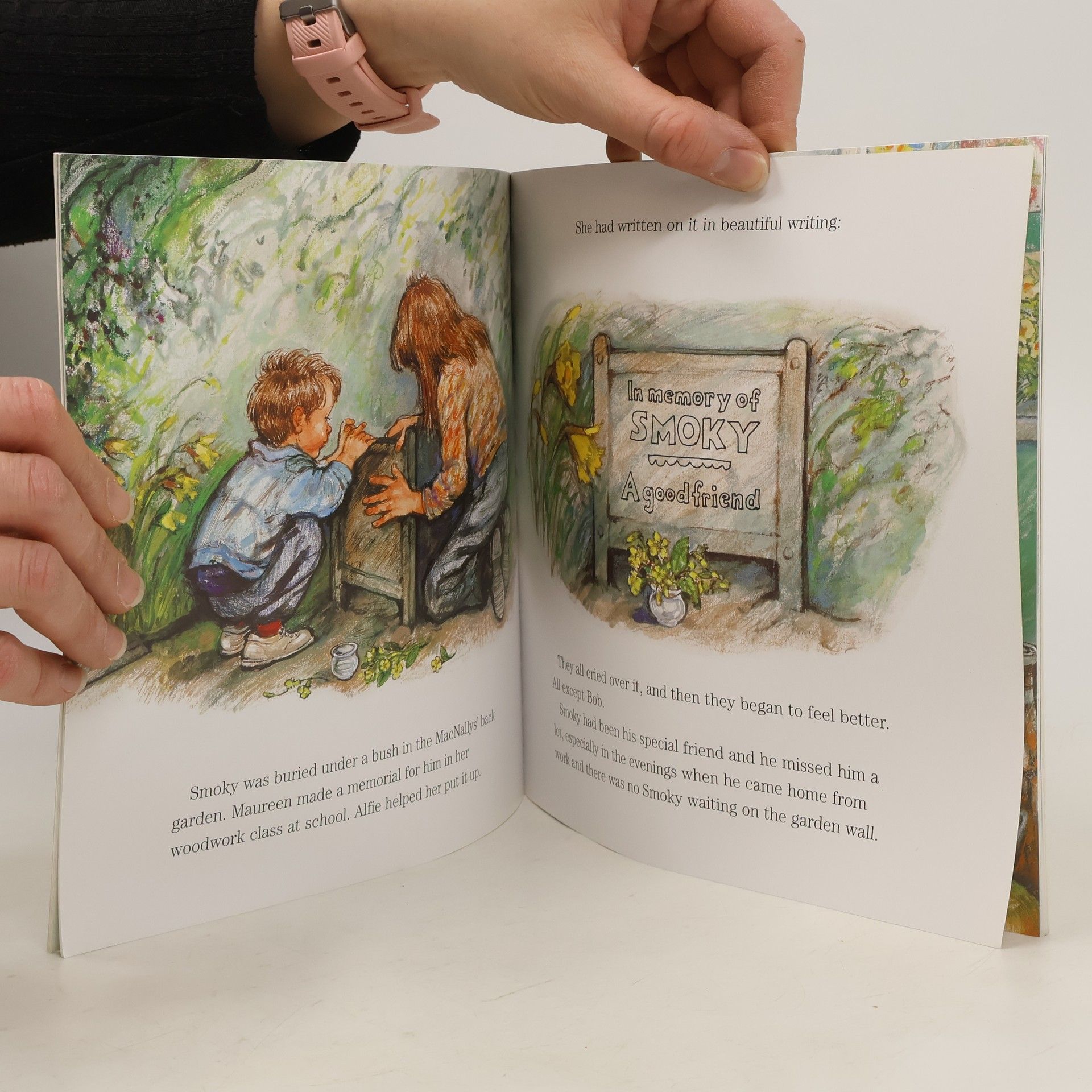 Shirley Hughes Alfie and the Birthday Surprise