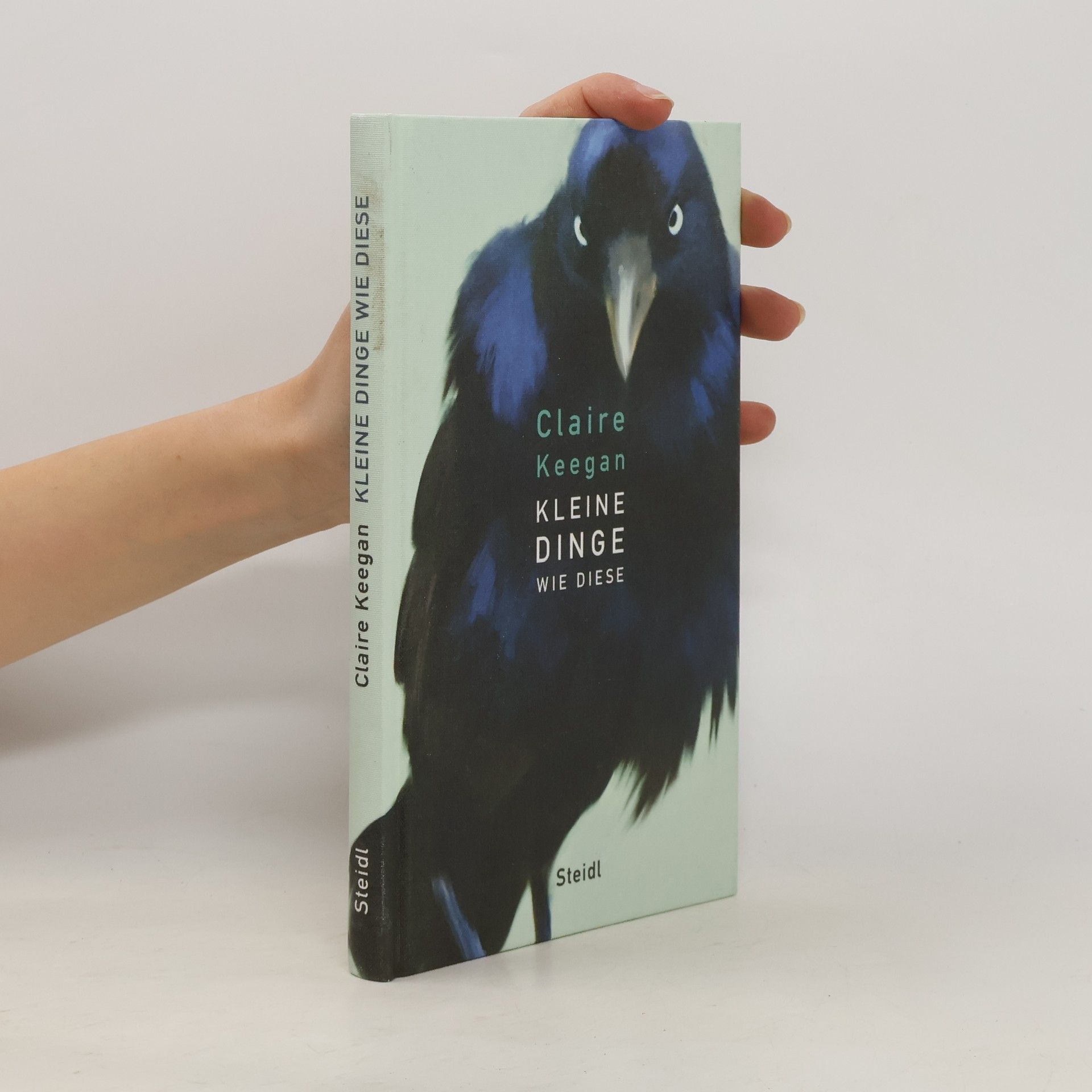 Claire Keegan Kleine Dinge wie diese