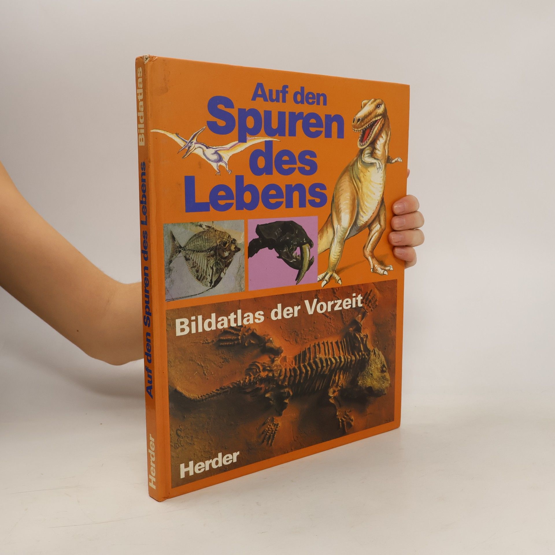 Paolo Arduini Auf den Spuren des Lebens