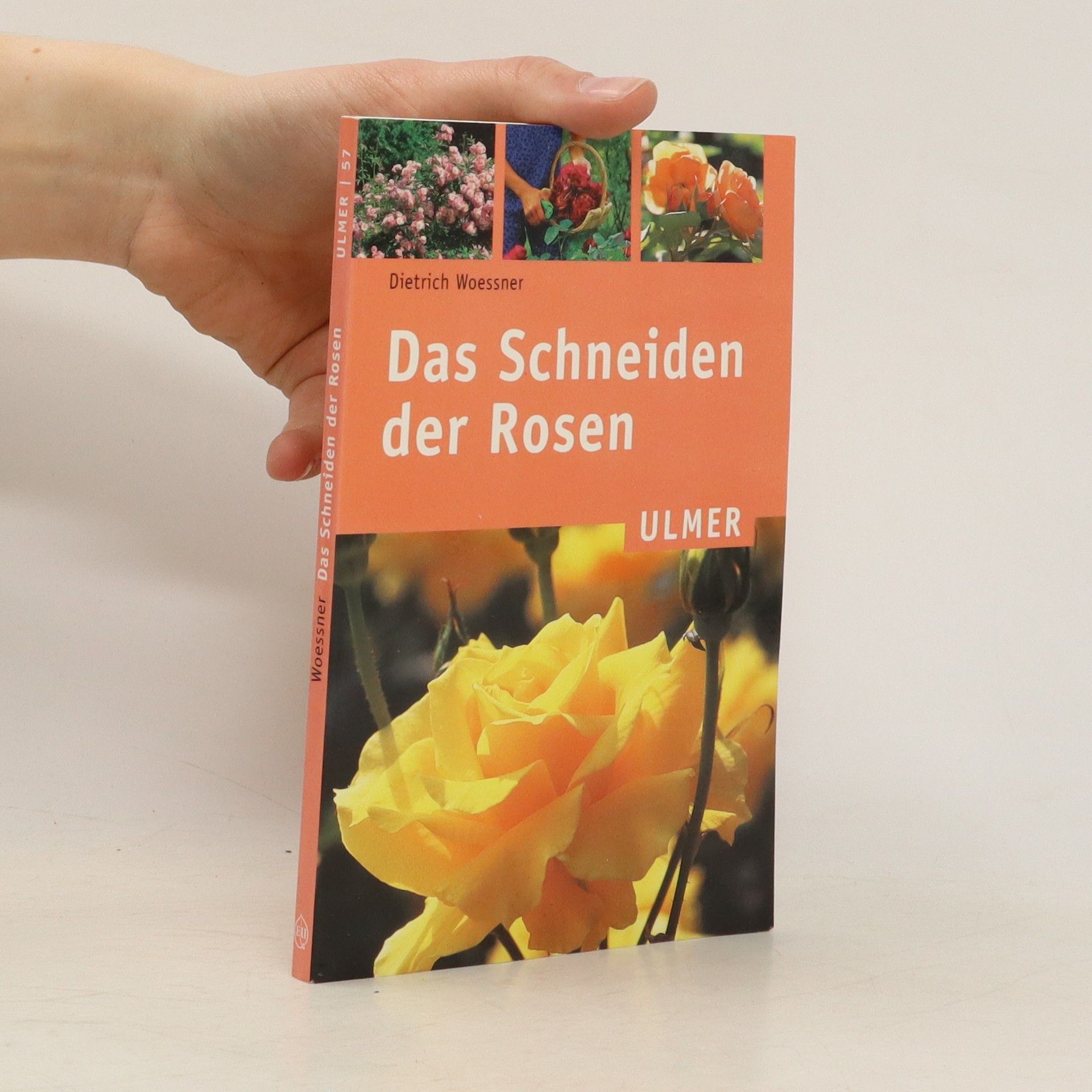 Dietrich Woessner Das Schneiden der Rosen