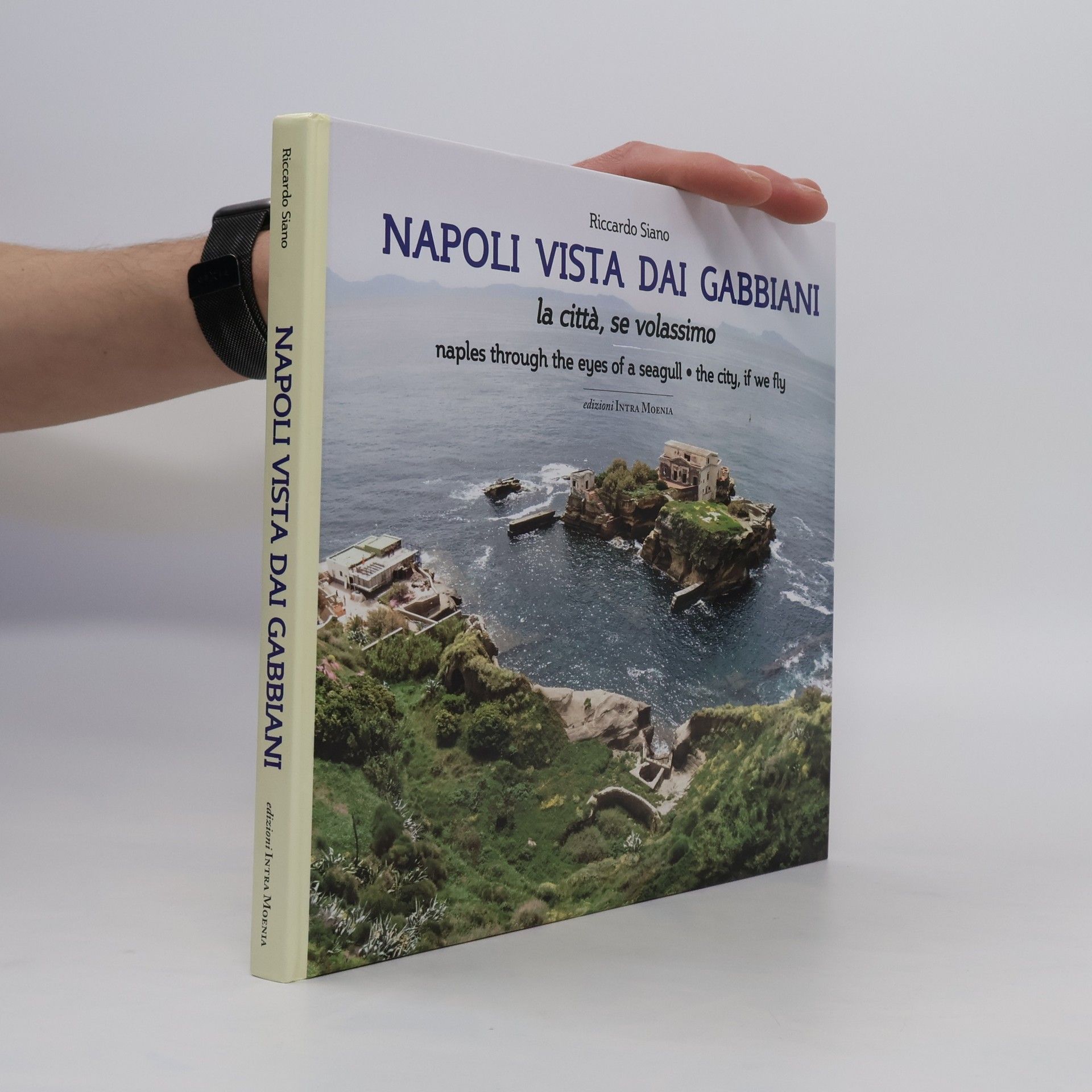 Riccardo Siano Napoli vista dai gabbiani. La città se volassimo