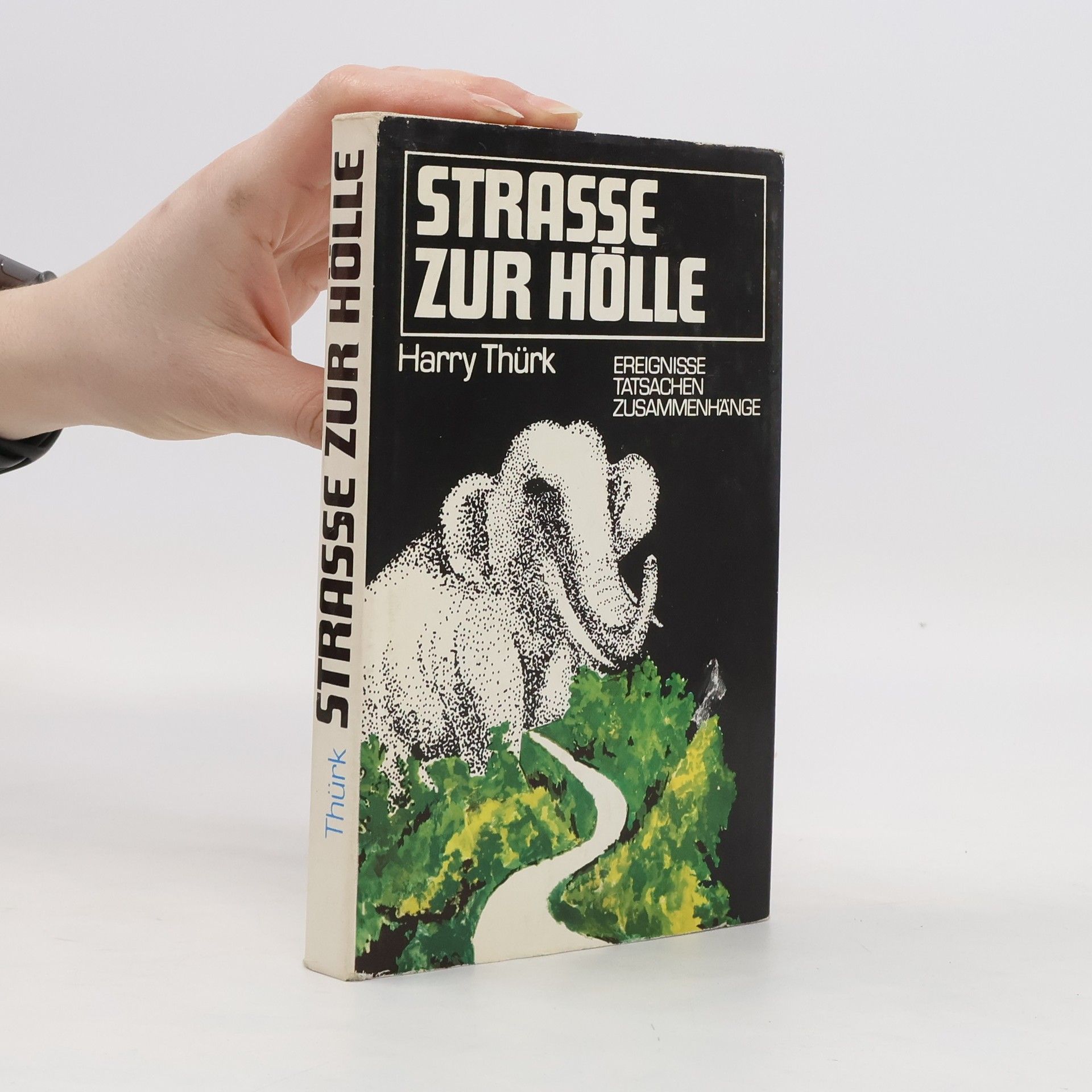 Harry Thürk Strasse zur Hölle