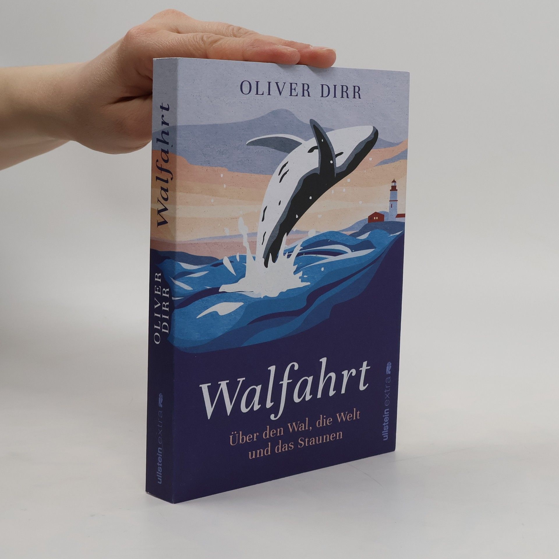 Oliver Dirr Walfahrt