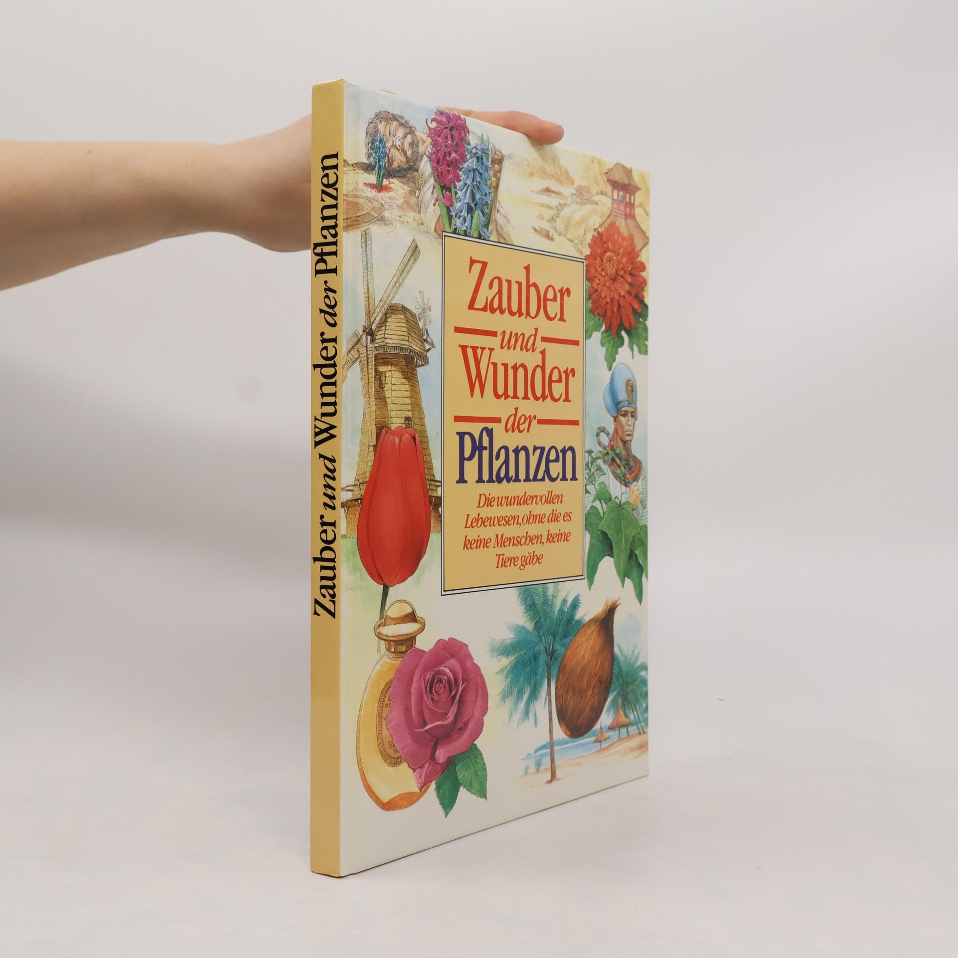 Autorenkollektiv Zauber und wunder der Pflanzen