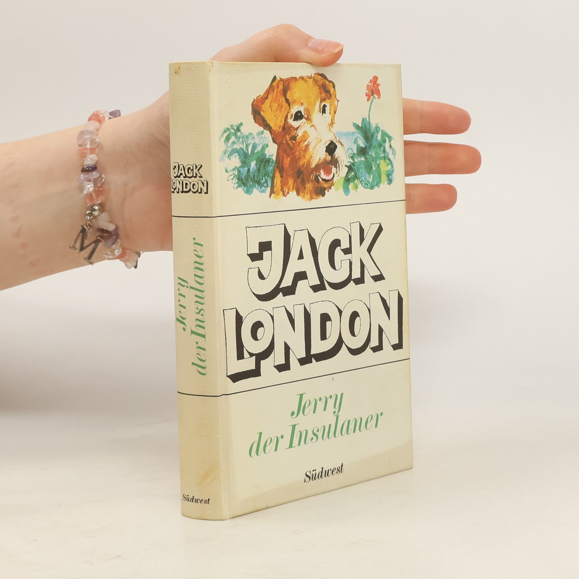 Jack London Jerry, der Insulaner